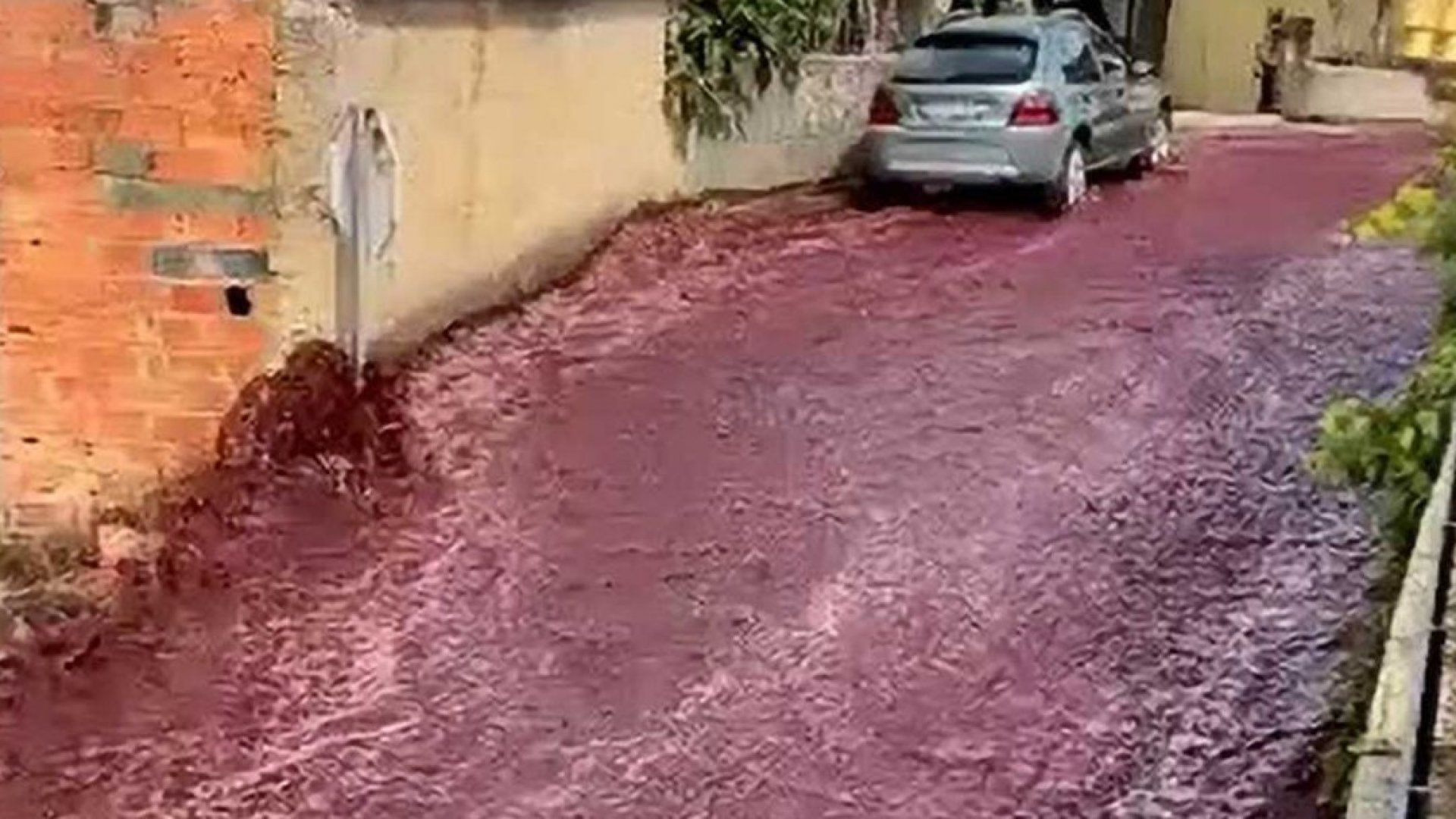 Un río de vino tinto inunda las calles de Portugal