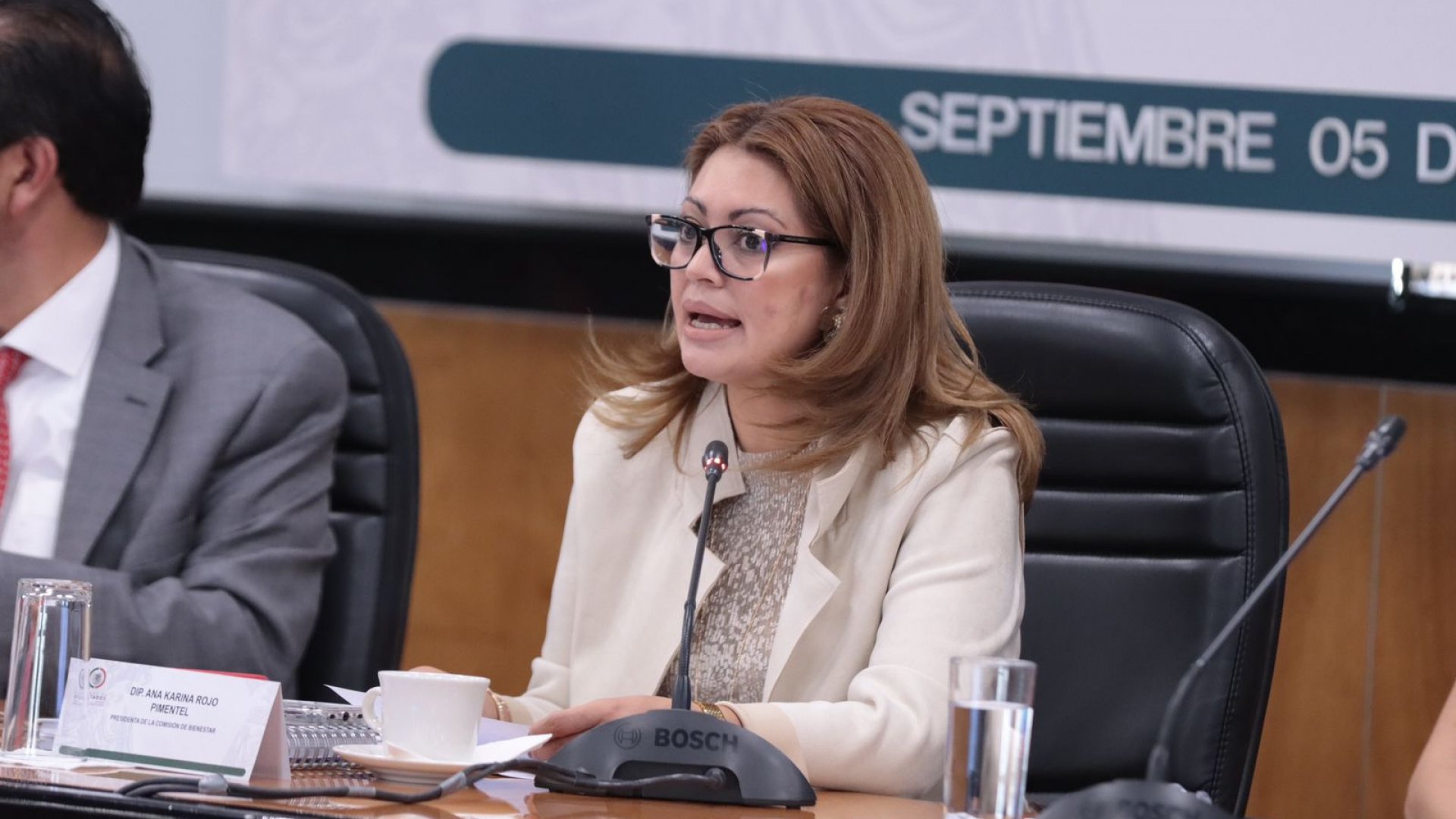 PT busca garantizar constitucionalmente la entrega de pensión para adultos mayores a los 65 años