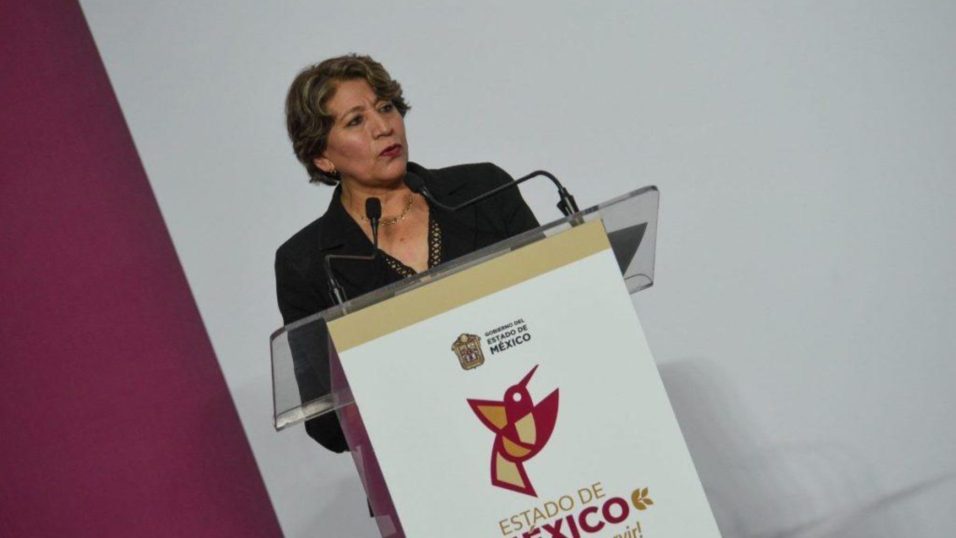 Hoy tomará protesta Delfina Gómez en Edomex: Conoce a su gabinete