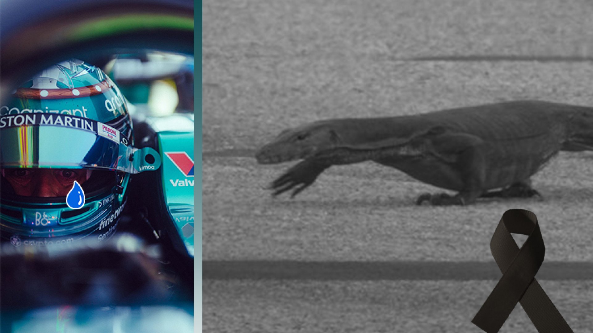 Fernando Alonso atropella a lagarto en pista de GP de Singapur