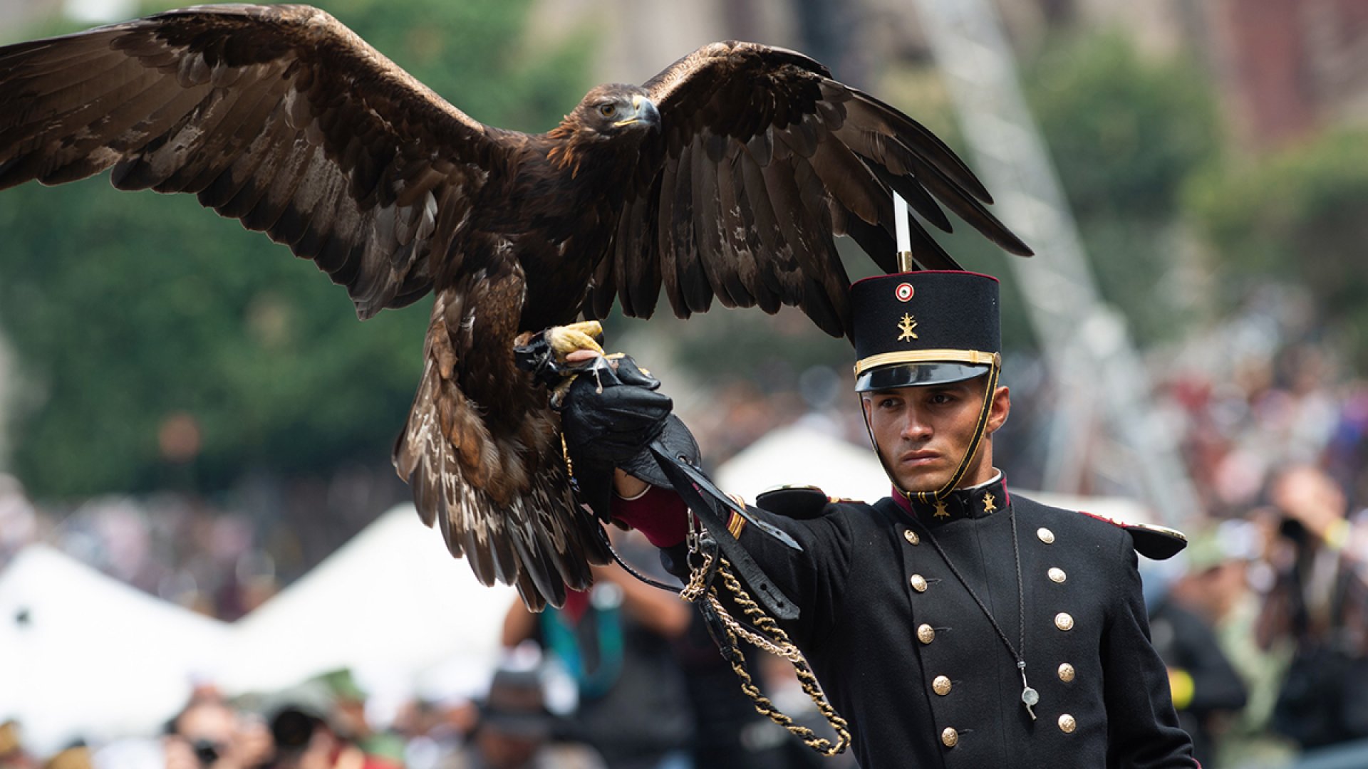 ‘Sin novedad’, concluye parada militar en el Zócalo