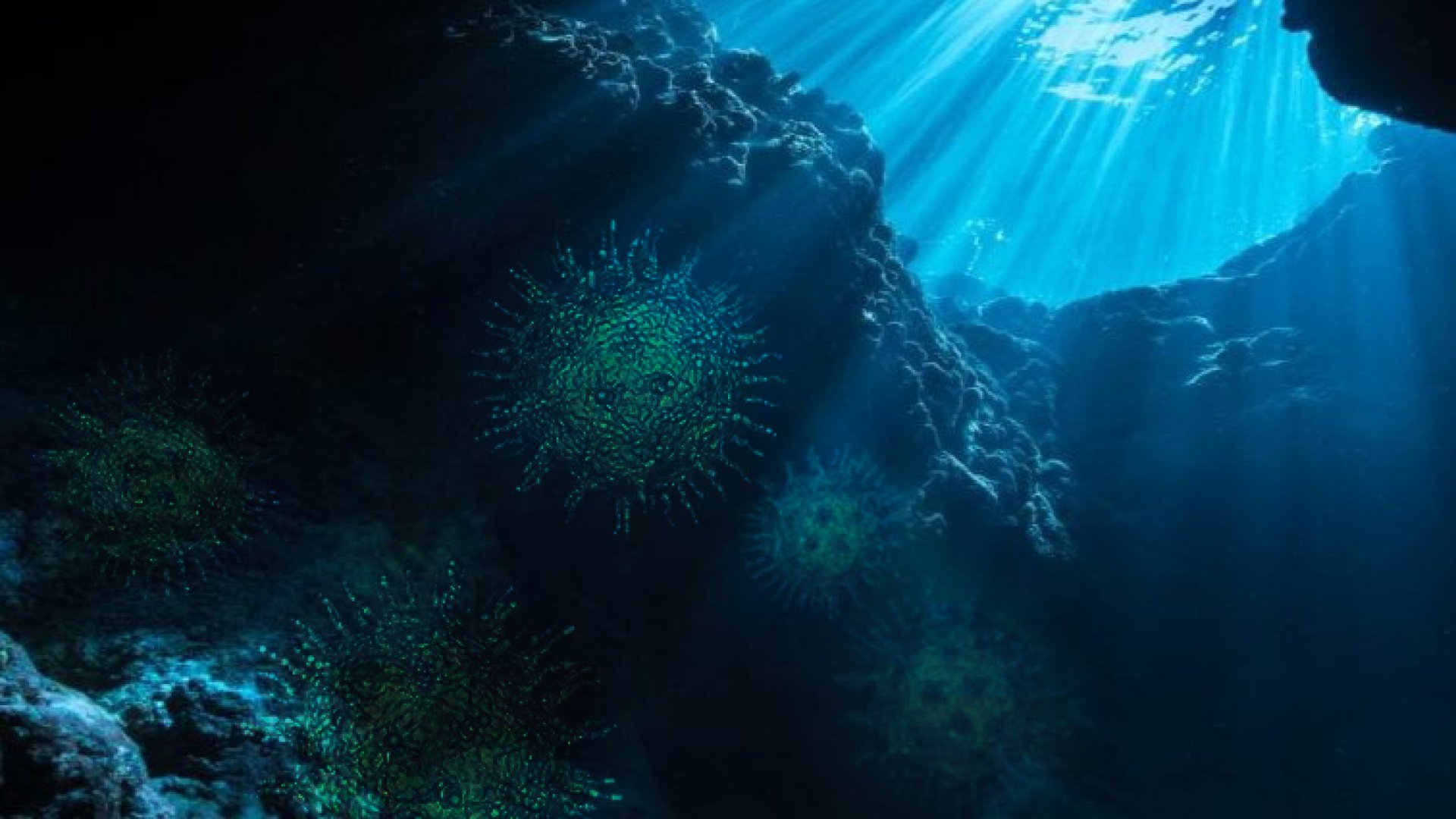 Descubren virus en el lugar más profundo del océano