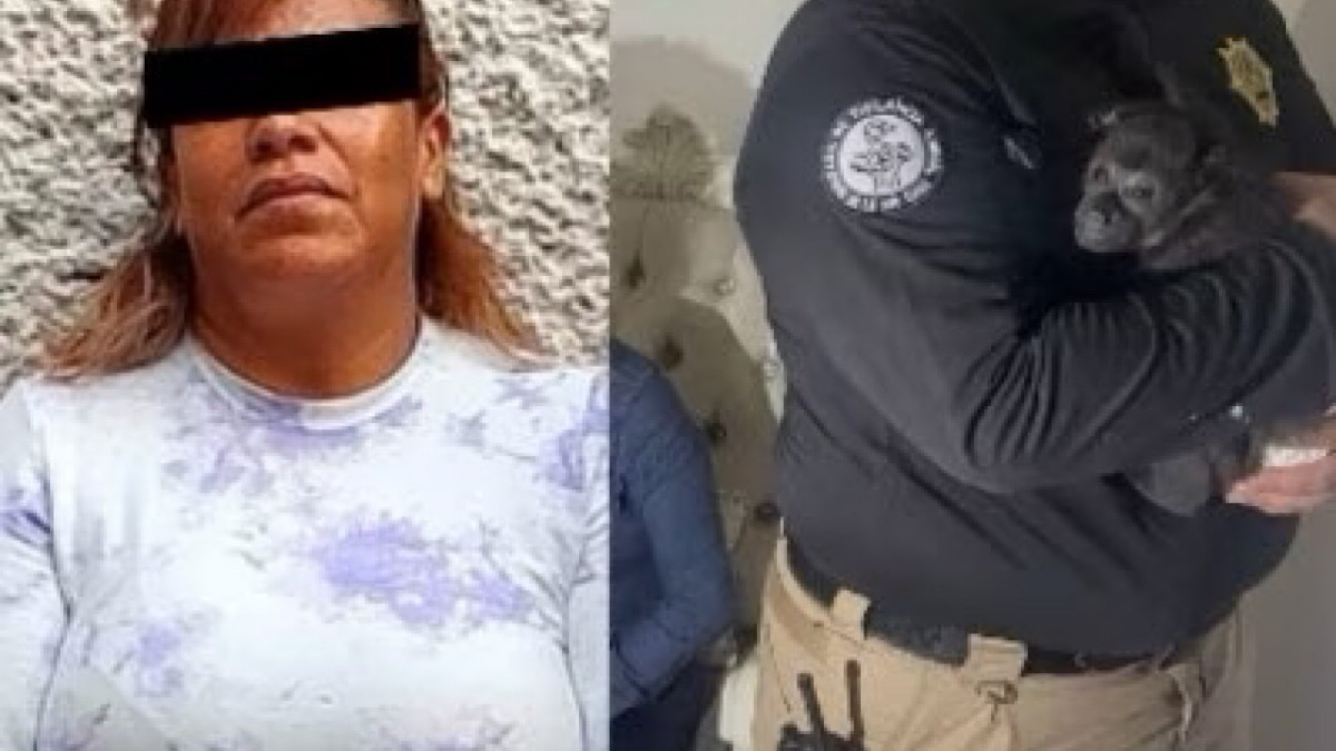 Cae ‘La Jefa’, líder criminal en CDMX y Edomex