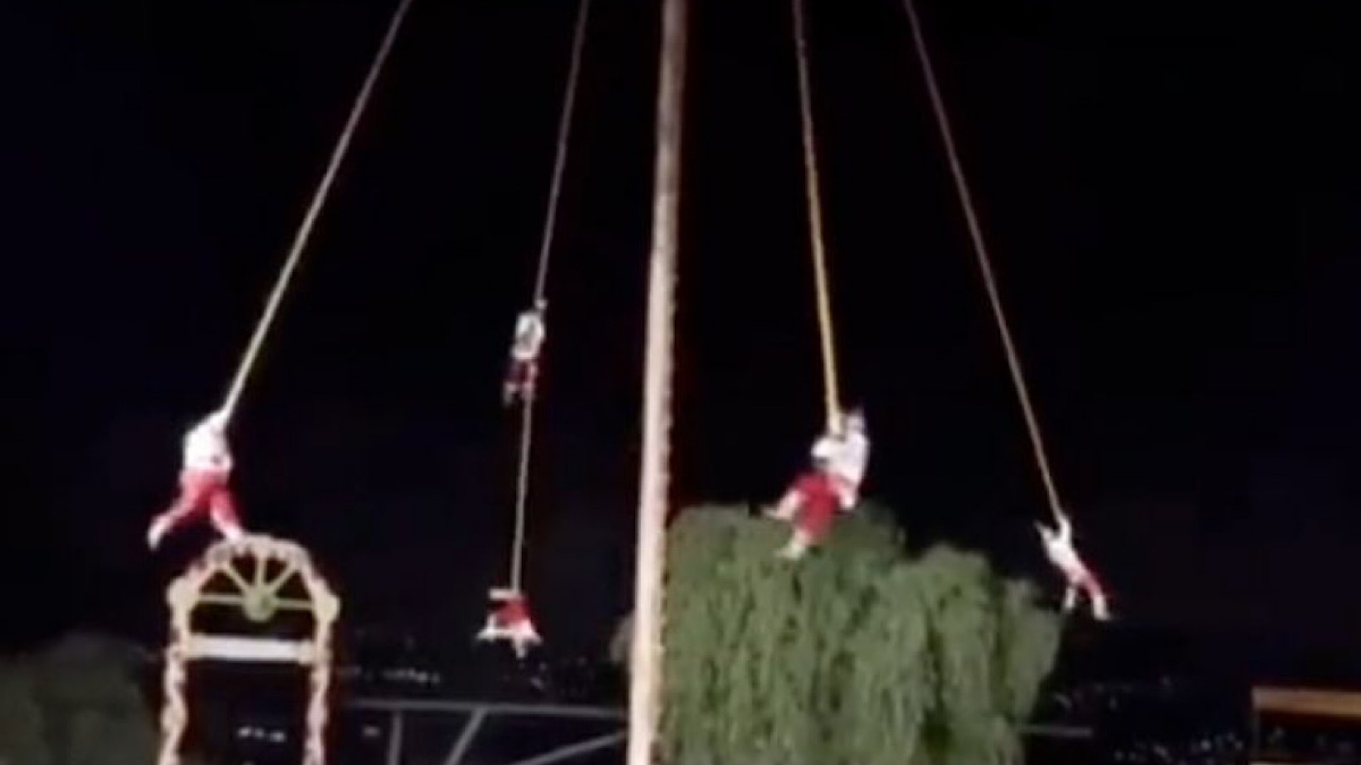 Voladores de Papantla chocan contra un árbol
