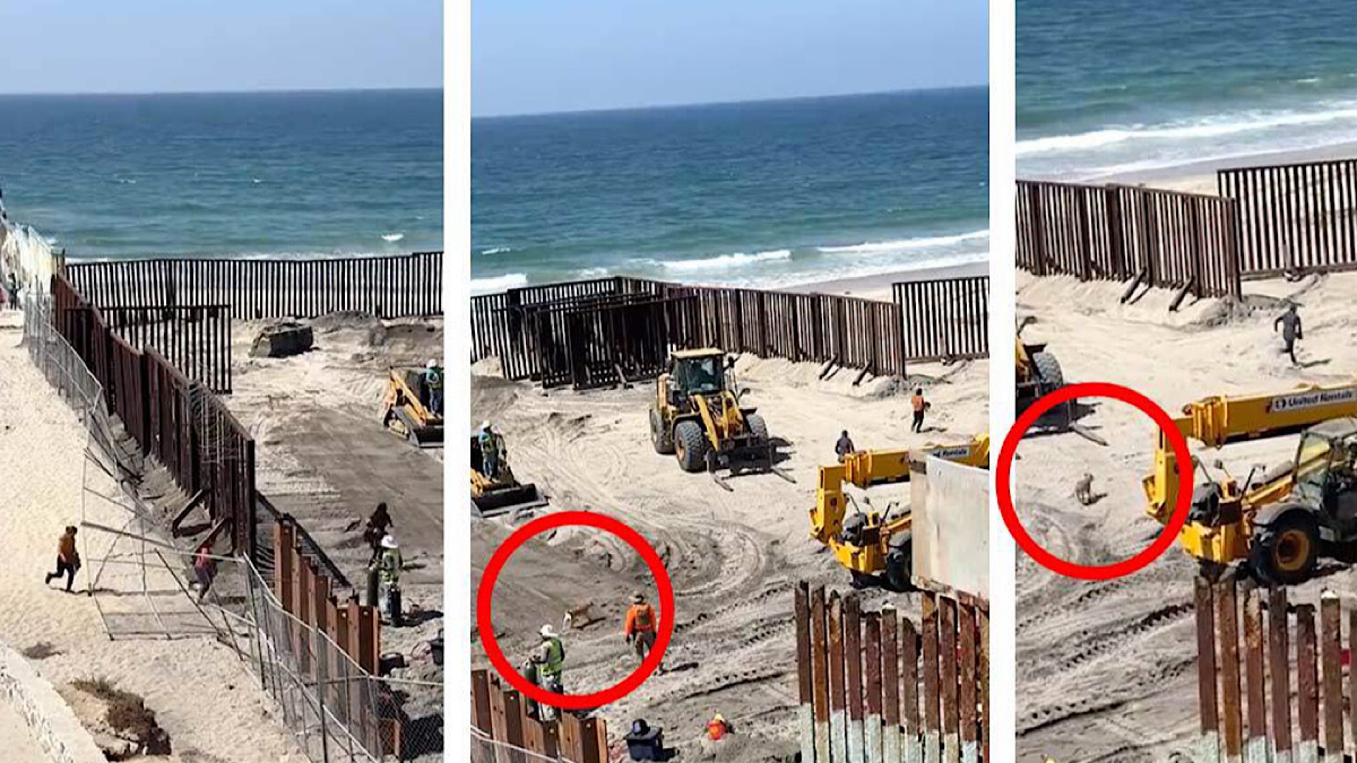 Migrantes y ‘lomito’ aprovechan reparación de muro para cruzar a EU