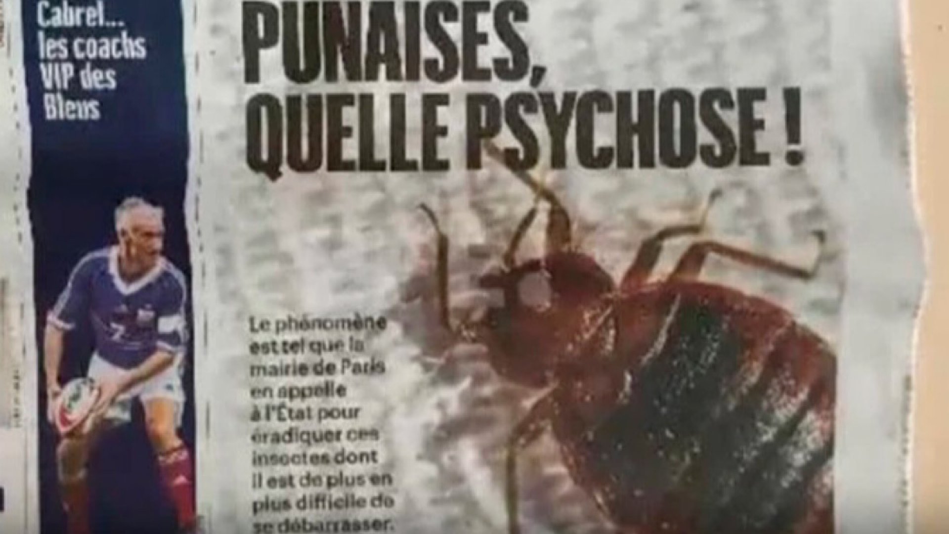 ¡Qué elegancia la de Francia! Chinches de primer mundo infestan Parìs