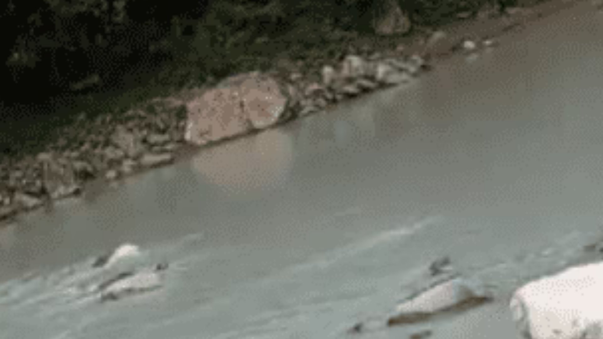 ¡Alerta en Sinaloa! Mina en Durango derrama químicos tóxicos al río Coluta