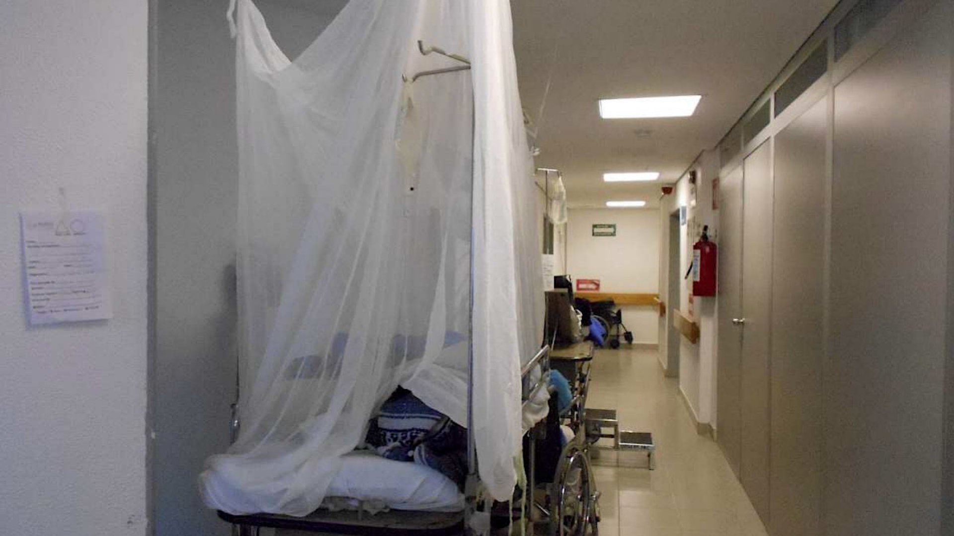 Cambio climático y poca prevención, detrás del crecimiento del dengue en México