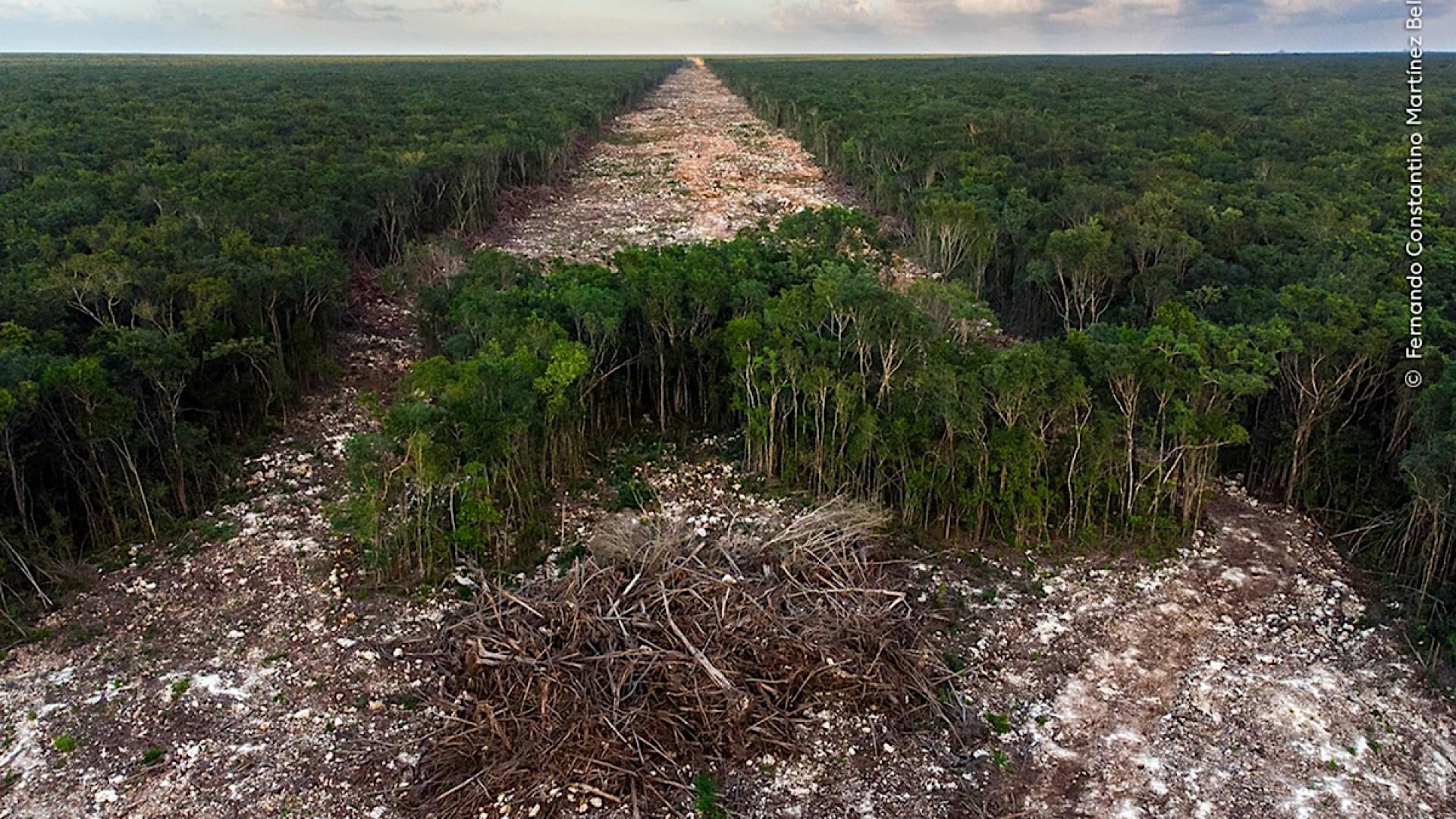 Yucateco gana premio internacional de fotografía de naturaleza 