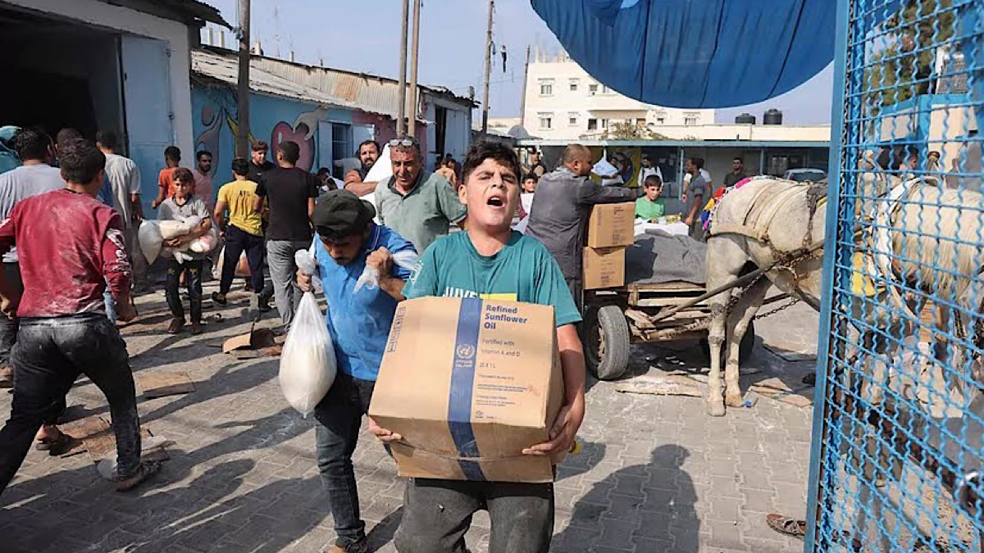 Saqueos en Franja de Gaza