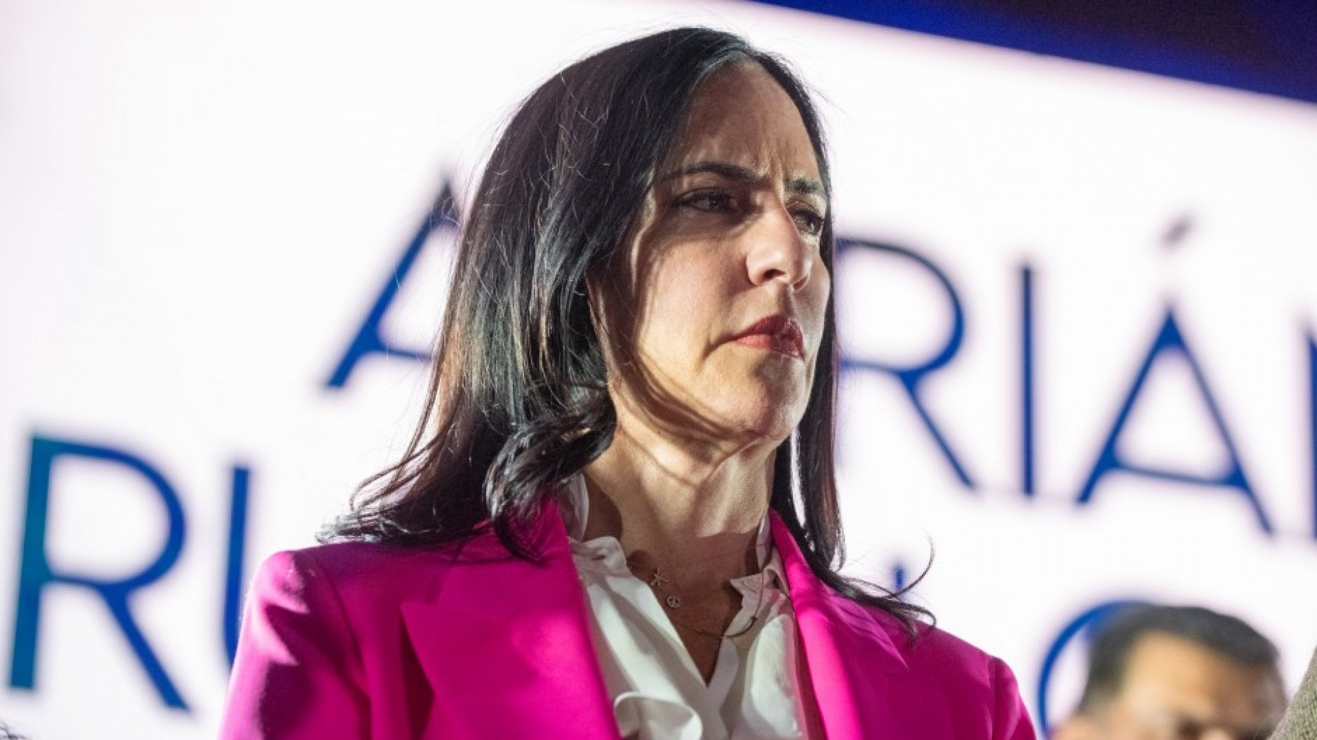 Lía Limón presentará juicio y denuncia por no obtener licencia temporal