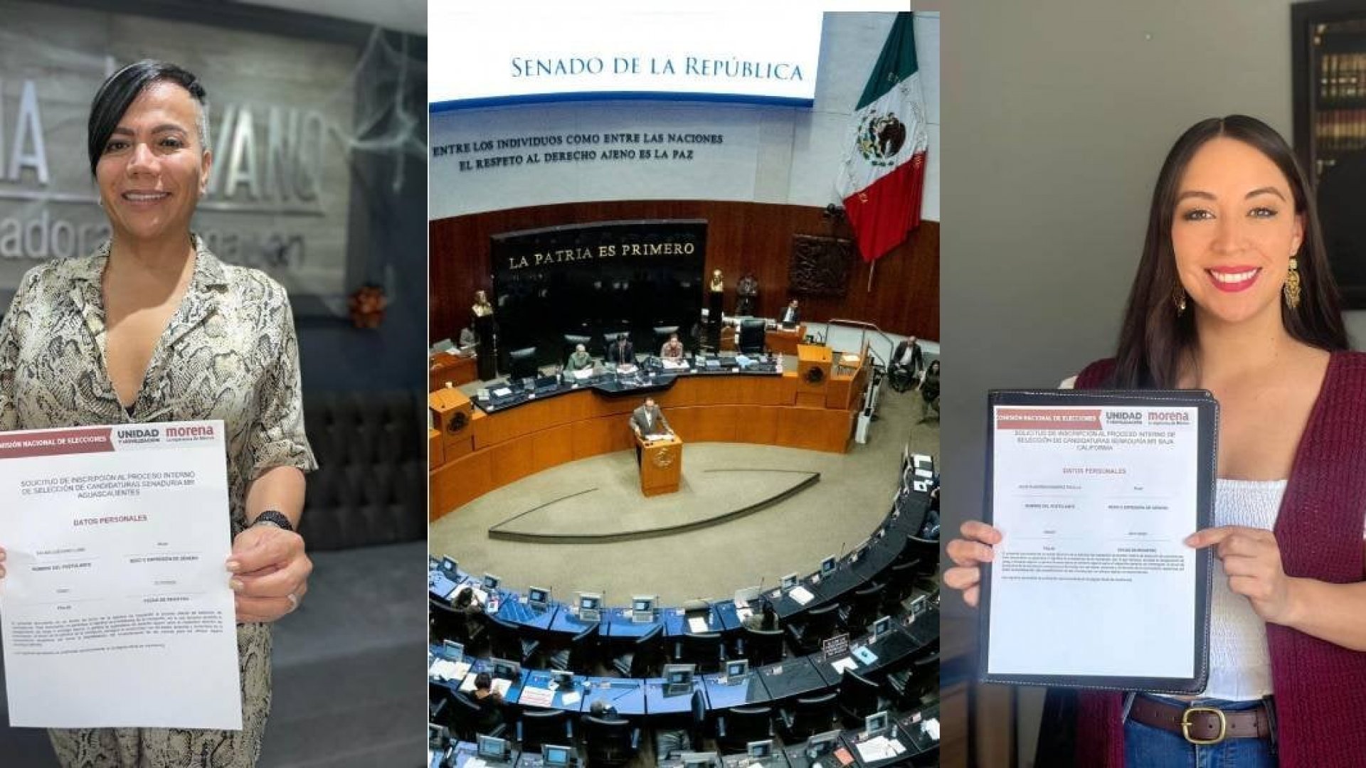 Estos diputados buscan ‘saltar’ al Senado en 2024