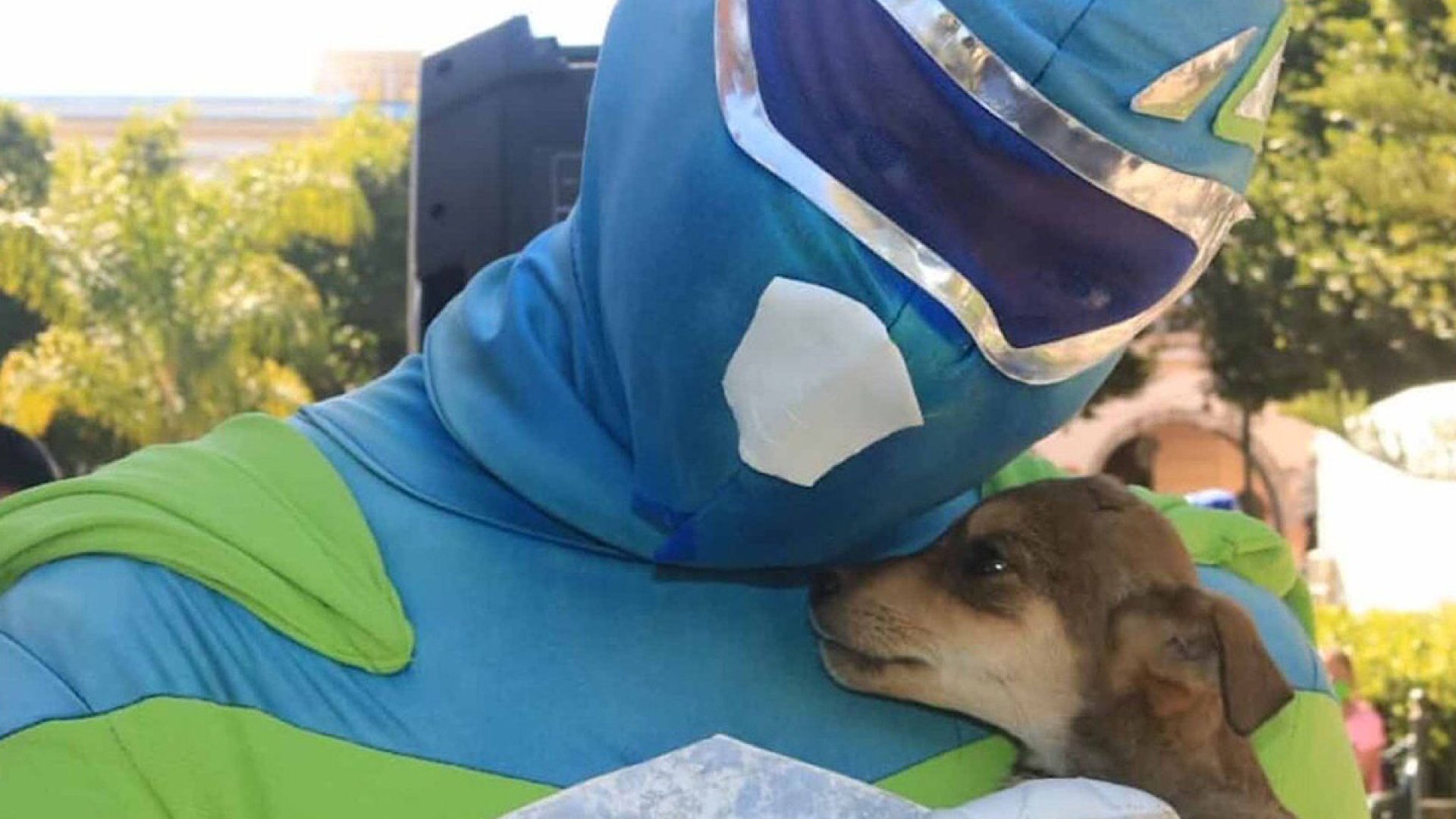 ¡Héroes sin capa! Dan agua y comida a mascotas en situación de calle tras paso de huracán en Acapulco