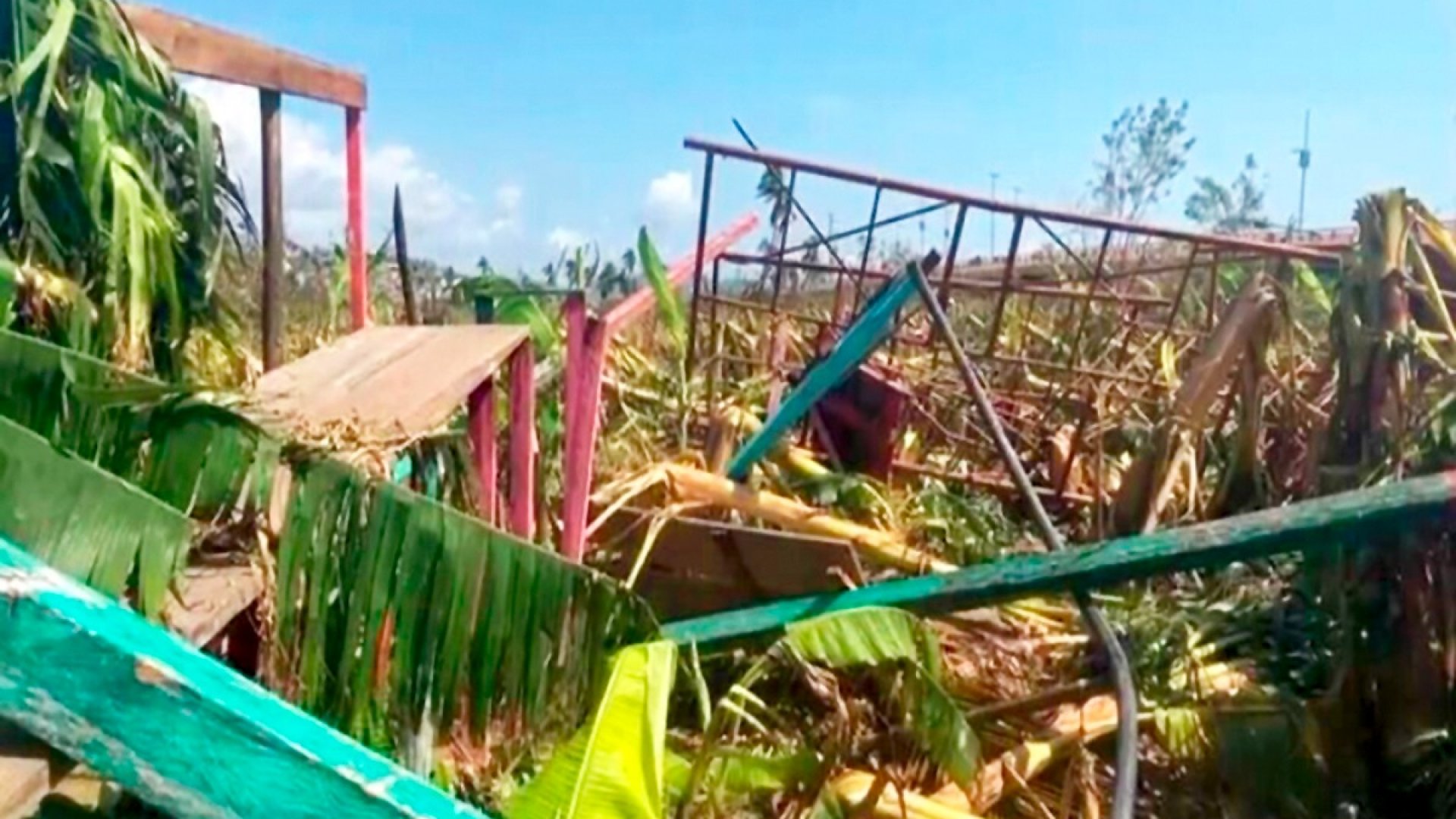 Sector agrícola de Guerrero, devastado por ‘Otis’