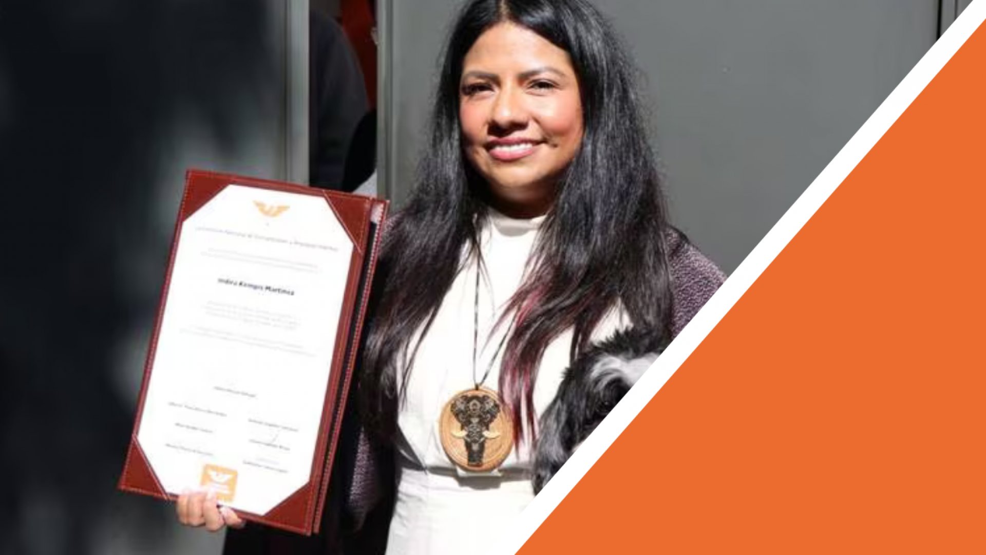 Ellos buscarán la candidatura presidencial de MC