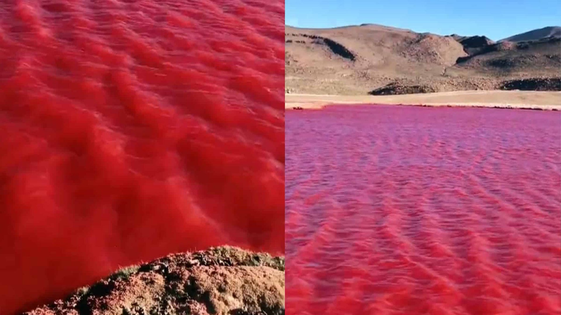 Rio Nilo se tiñó de rojo y causa pánico en redes sociales por su presagio bíblico