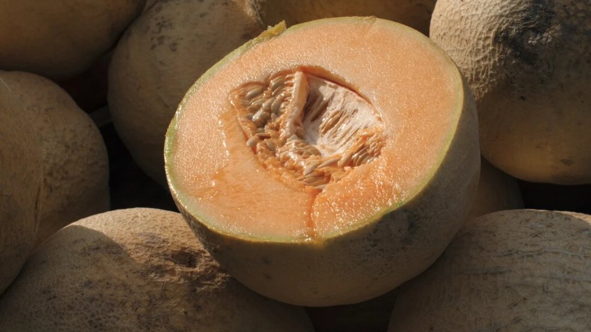 La FDA amplía el retiro de melón en el mercado