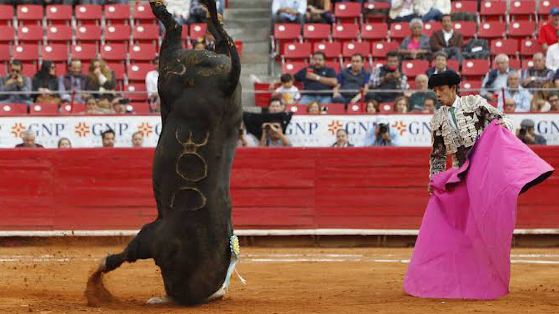 Juez federal ordena suspensión de corridas de toros en Guadalajara