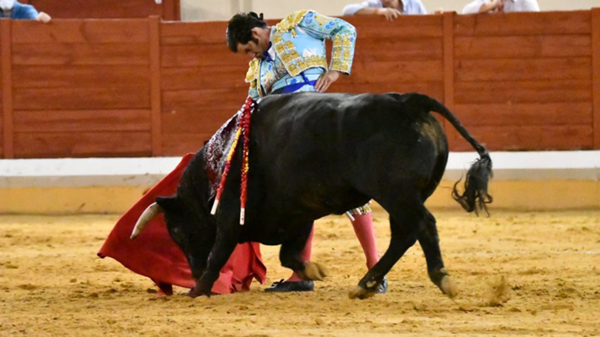 Cancelan corridas de toros en Guadalajara
