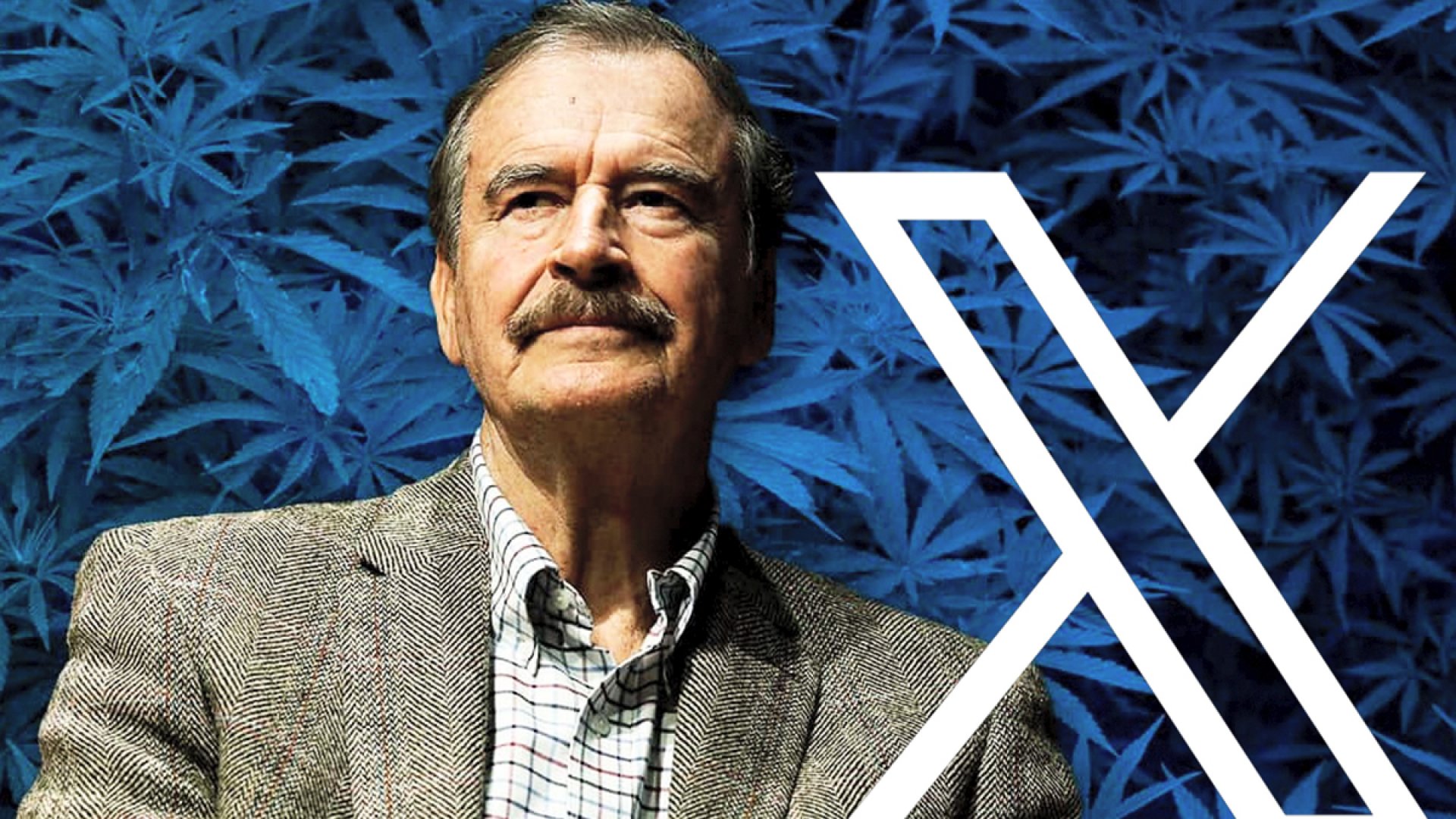 Vicente Fox pierde su cuenta de X