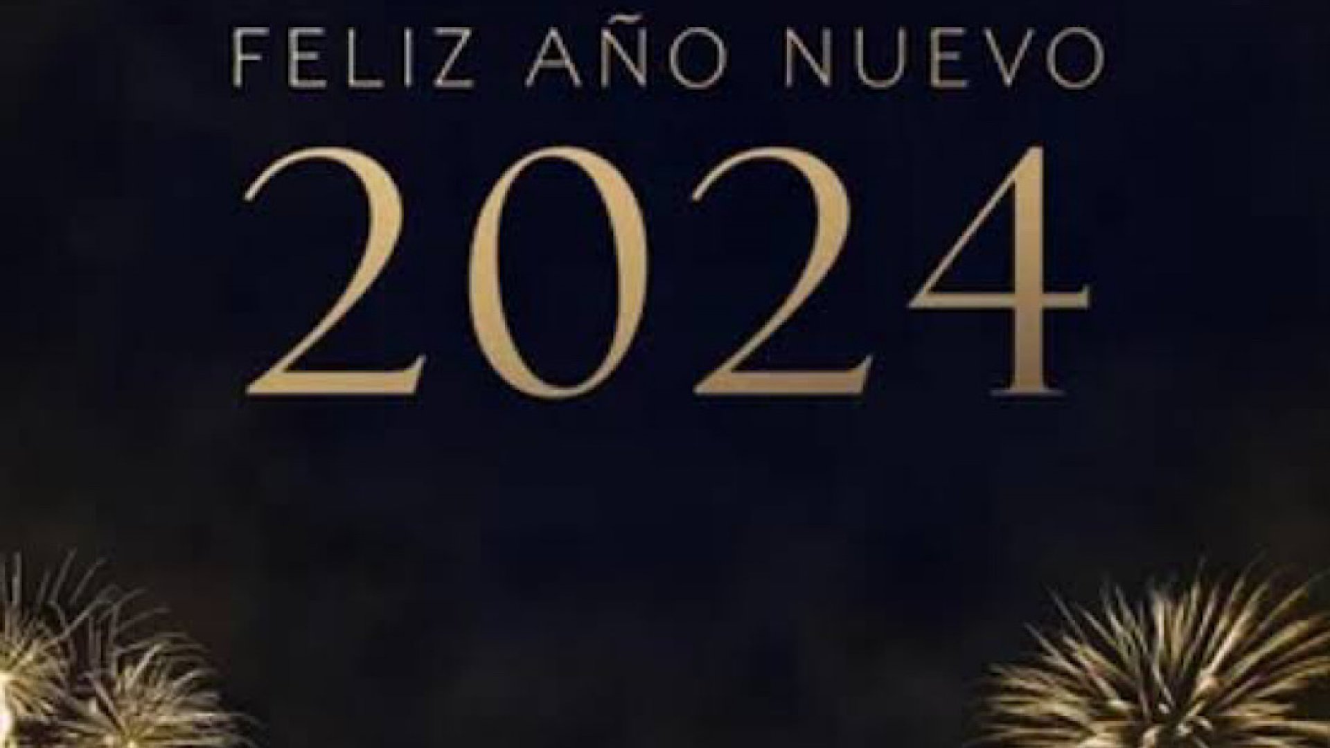 ¡Feliz Año Nuevo!
