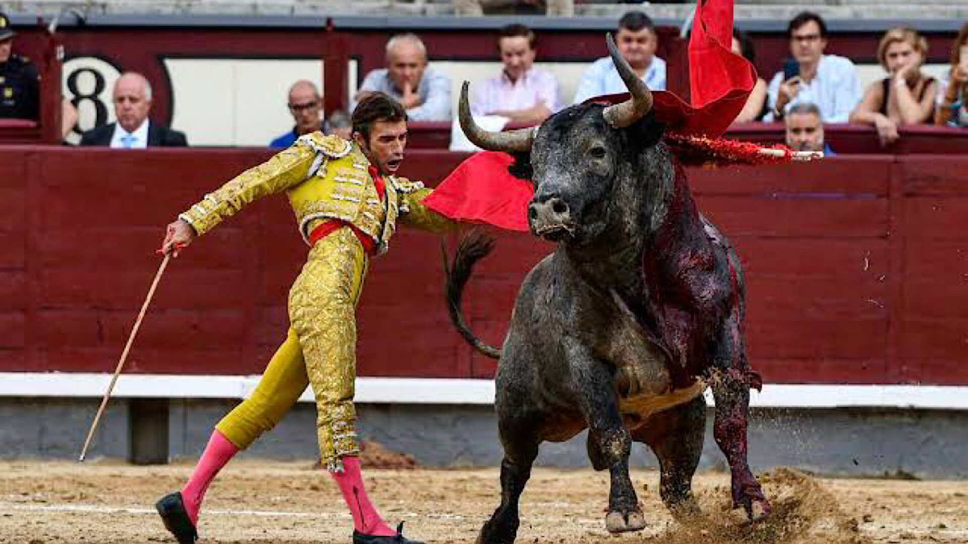 La Suprema Corte avala el regreso de las corridas de toros a la Plaza México