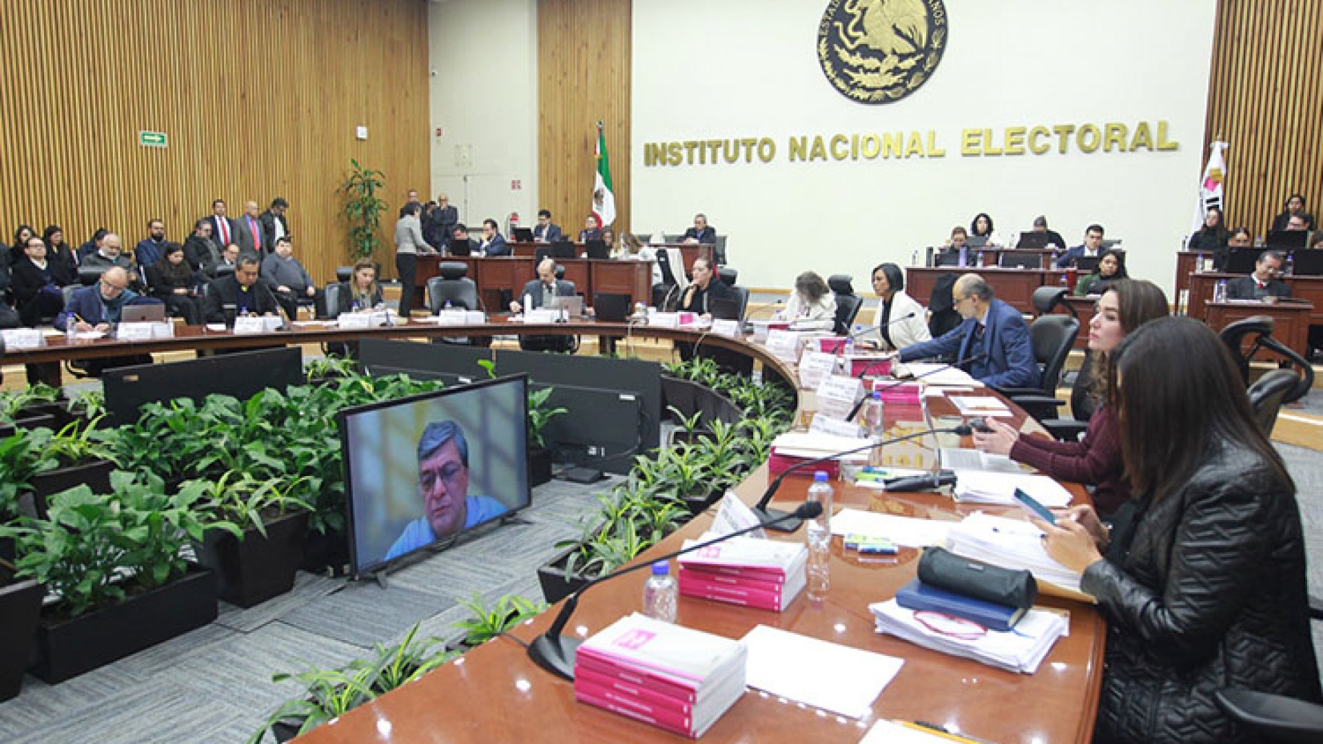 Paran en INE rebelión contra su presidente Guadalupe Taddei