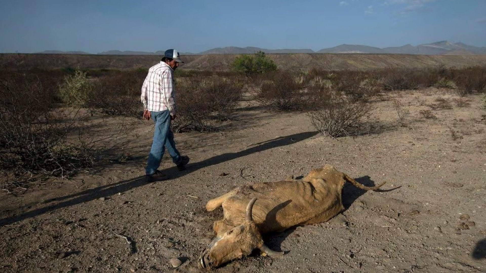 Denuncian la entrega de dos terceras partes del agua del río Bravo a Estados Unidos