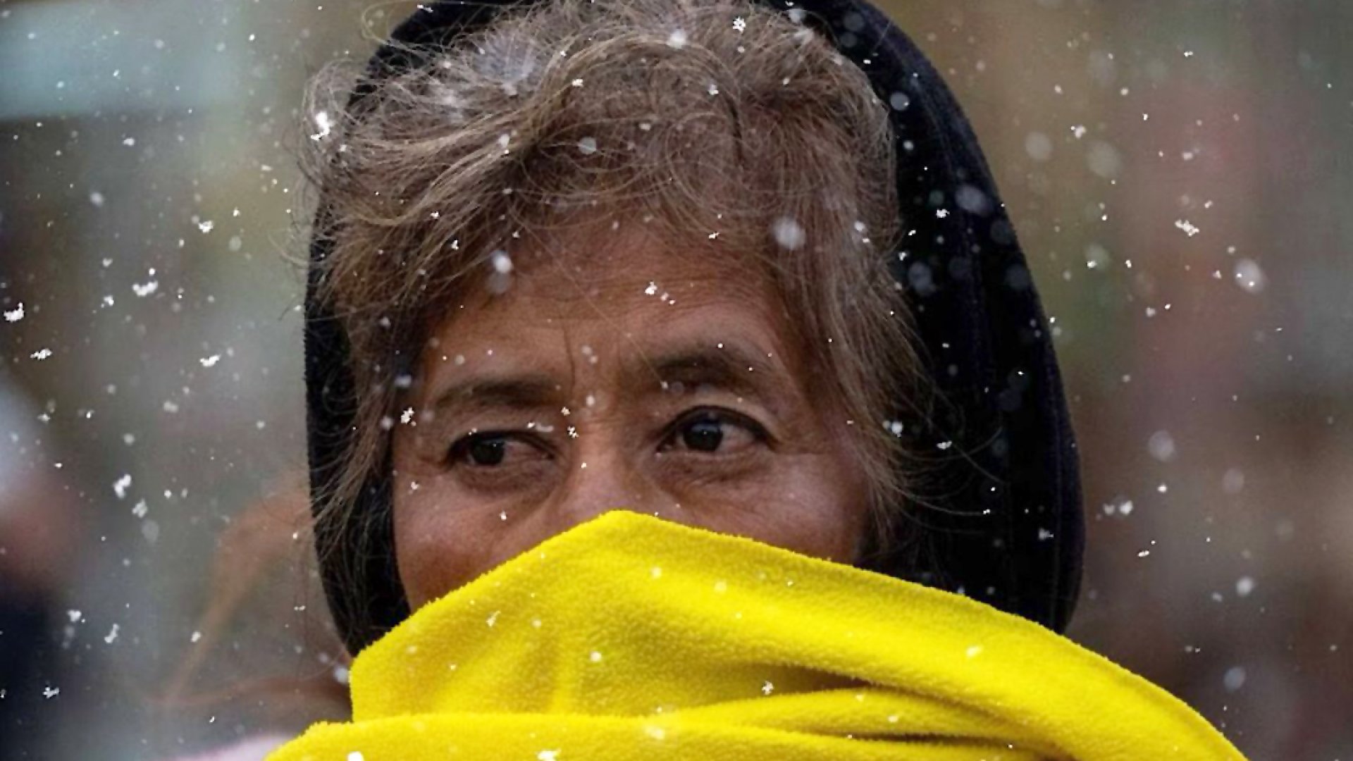 ¡Abrígate! Frente Frío 17 y Masa de Aire, con lluvias, heladas y -10 grados hoy martes