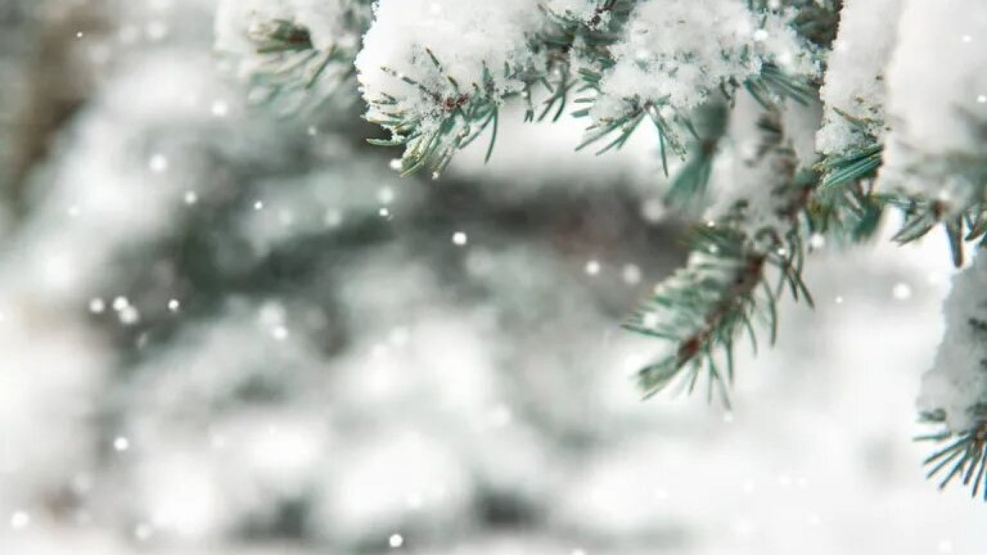 ¡Tápate! seguirán intensas heladas con lluvias después de Navidad en México