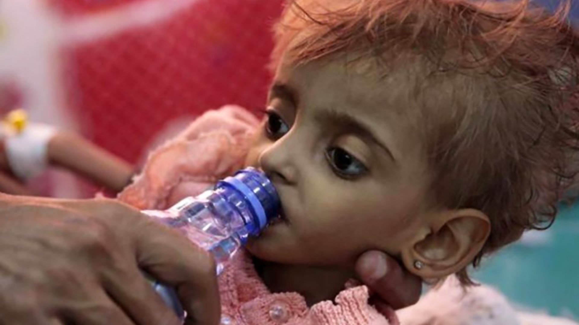 ONU: Una de cada cuatro personas en Gaza ‘muere de hambre’ debido a la guerra