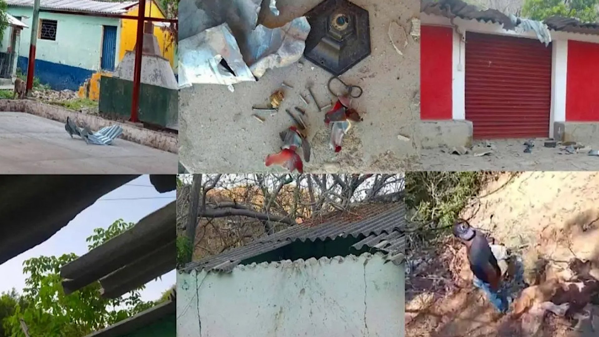 Masacre de la Familia Michoacana en Guerrero destapó secuestros sistemáticos para conseguir reclutas