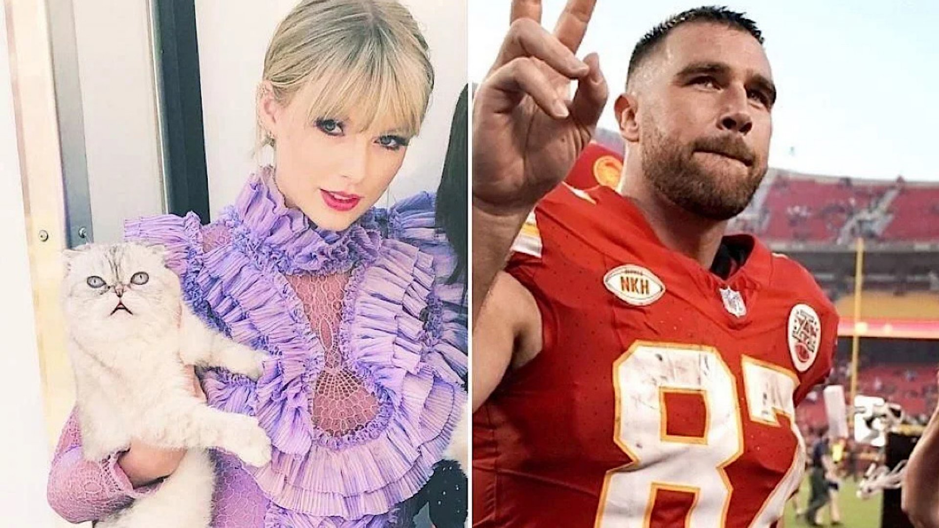 Mascota de Taylor Swift tiene patrimonio mayor al de Travis