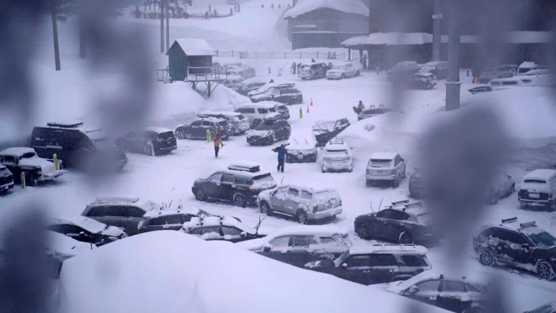 Despliegan equipos de búsqueda tras avalancha en estación de esquí de California