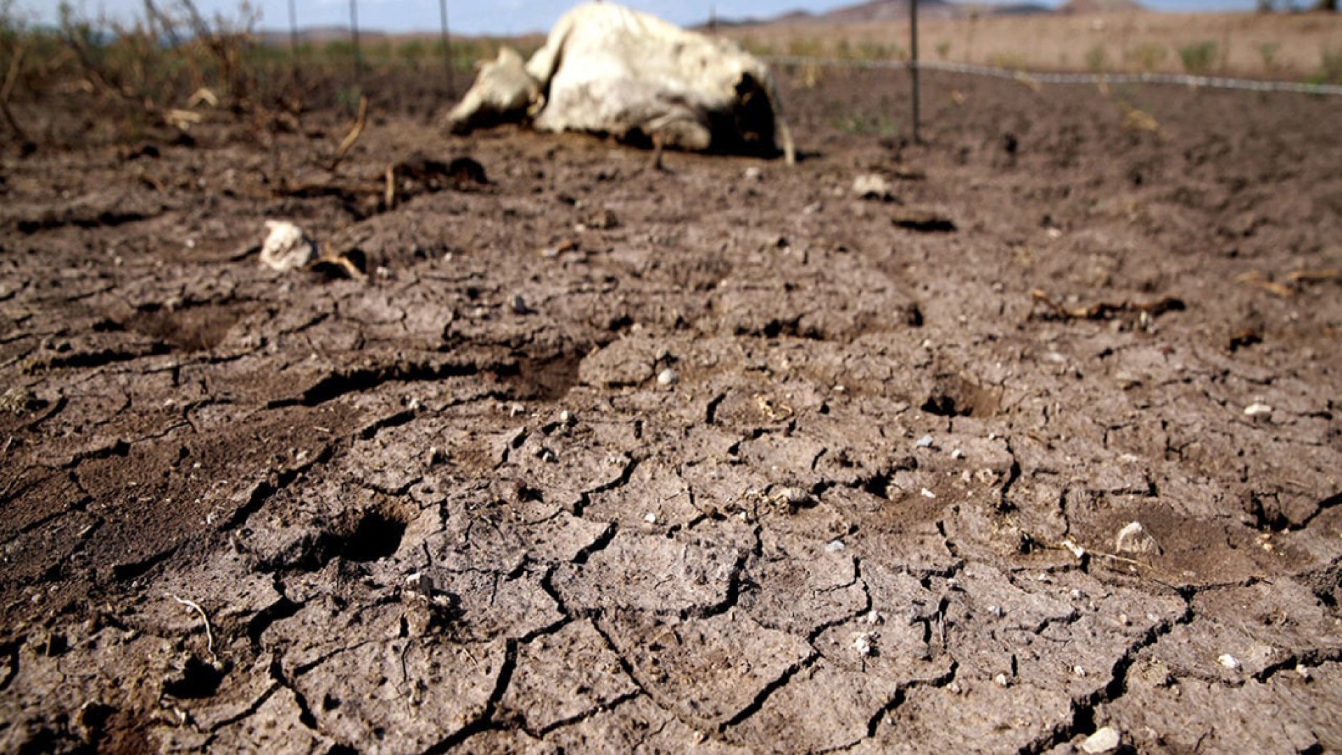 El cambio climático acentuará el alza de precios de los alimentos