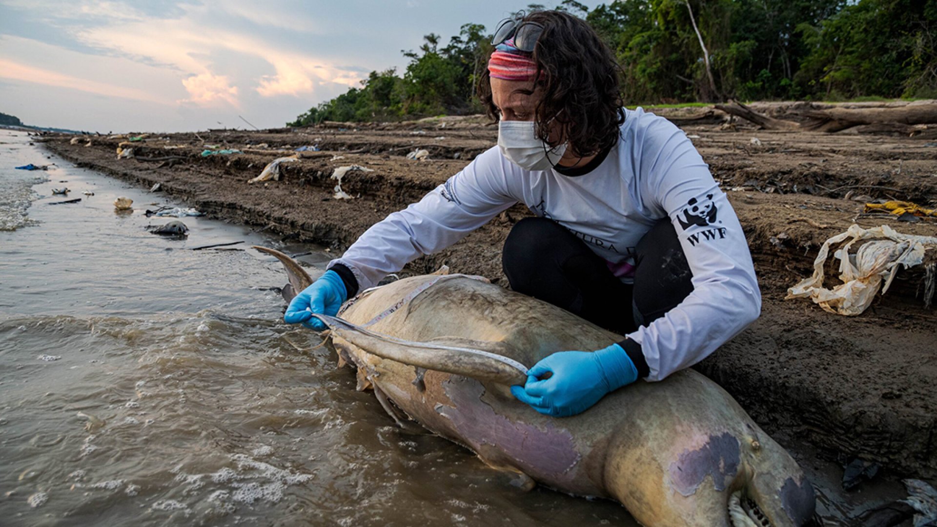 El cambio climático provocó una sequía ‘excepcional’ en el Amazonas