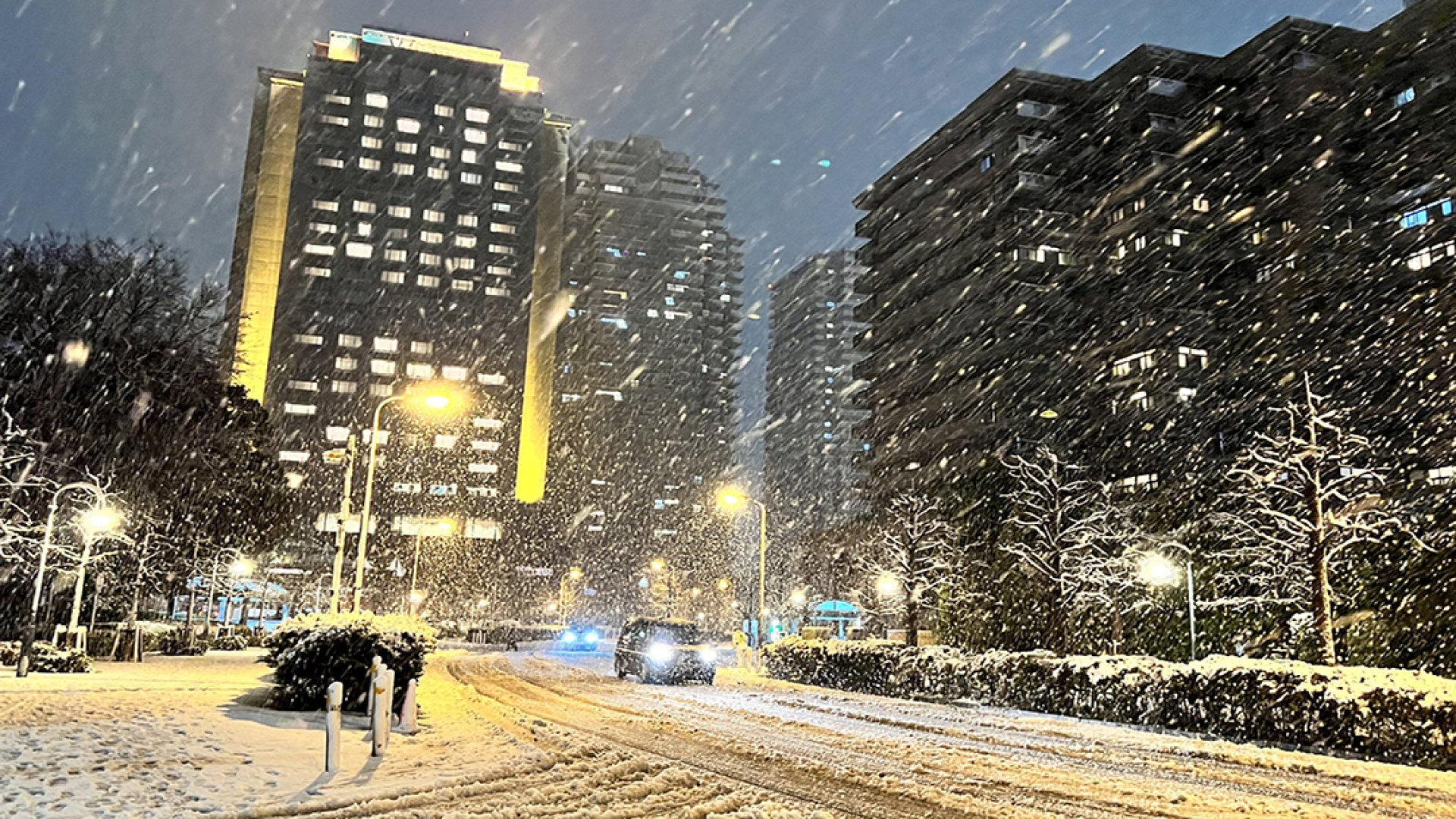 Fuertes nevadas en Tokio; cancelan vuelos y cierran autopistas
