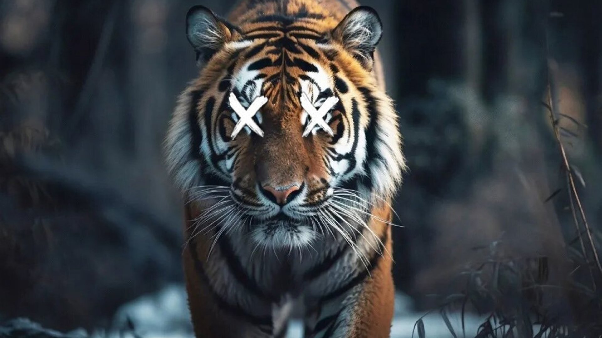 Hallan tigre decapitado en Valle de Bravo