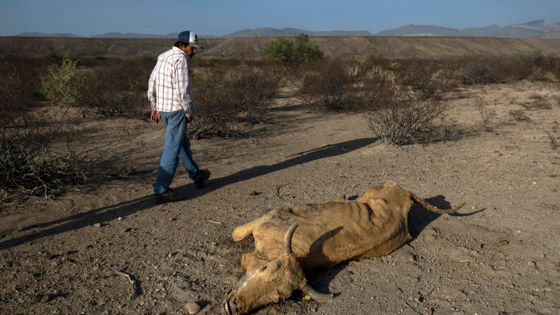 Conagua: El 60.45 % del territorio nacional está en condiciones de sequía
