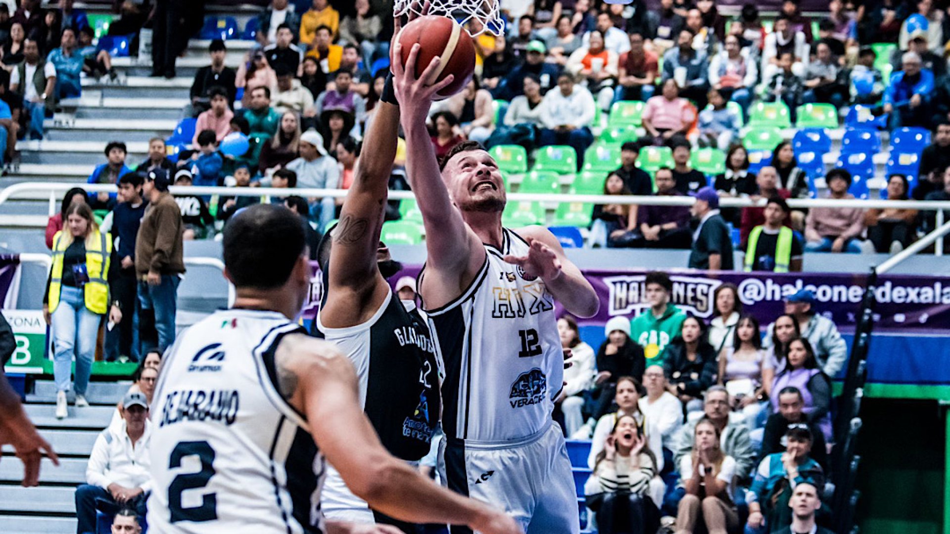Enorme triunfo de Halcones ante Gladiadores en la BCL Américas