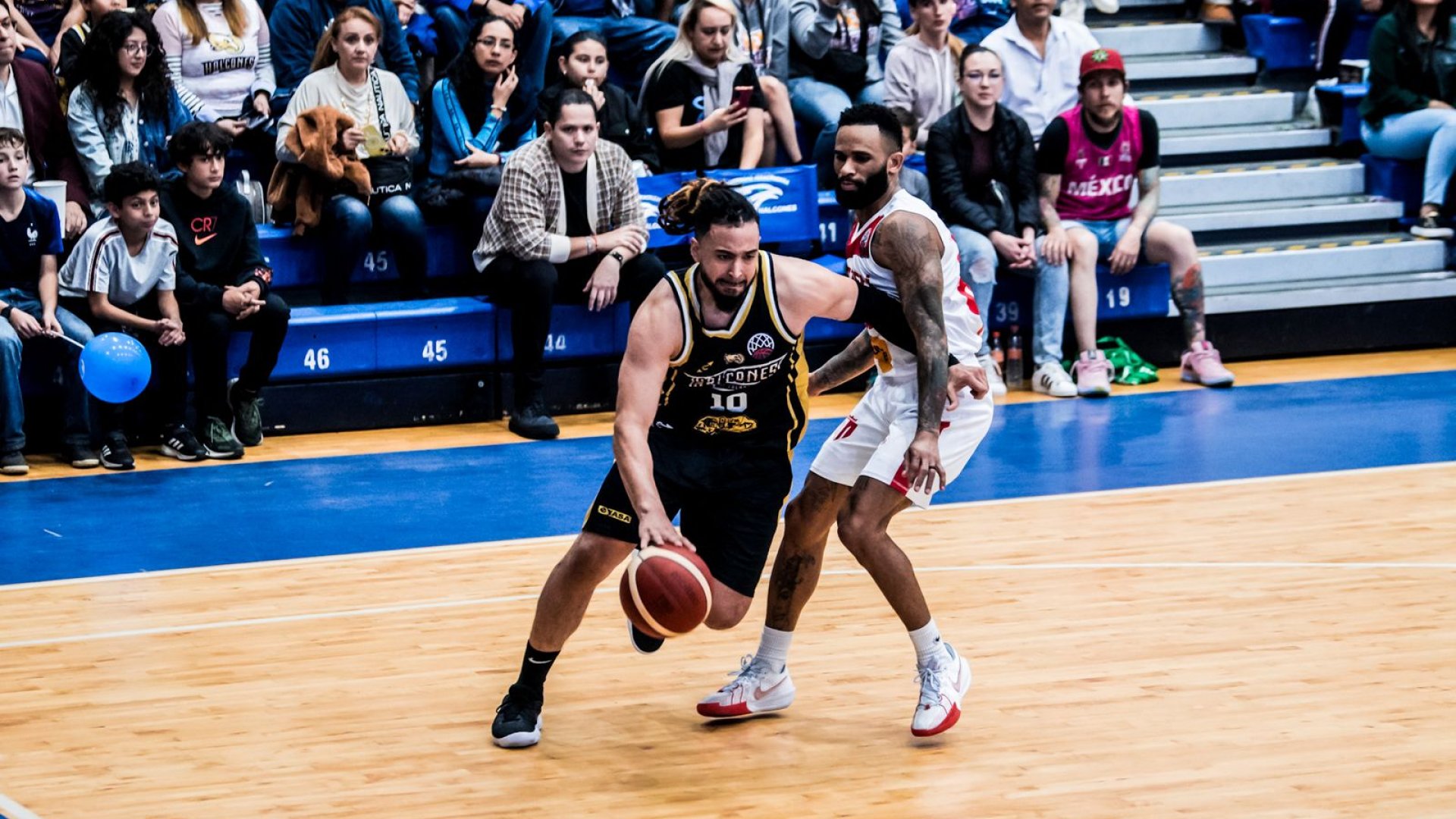 Halcones vuela a cuartos de final en la BCL Americas