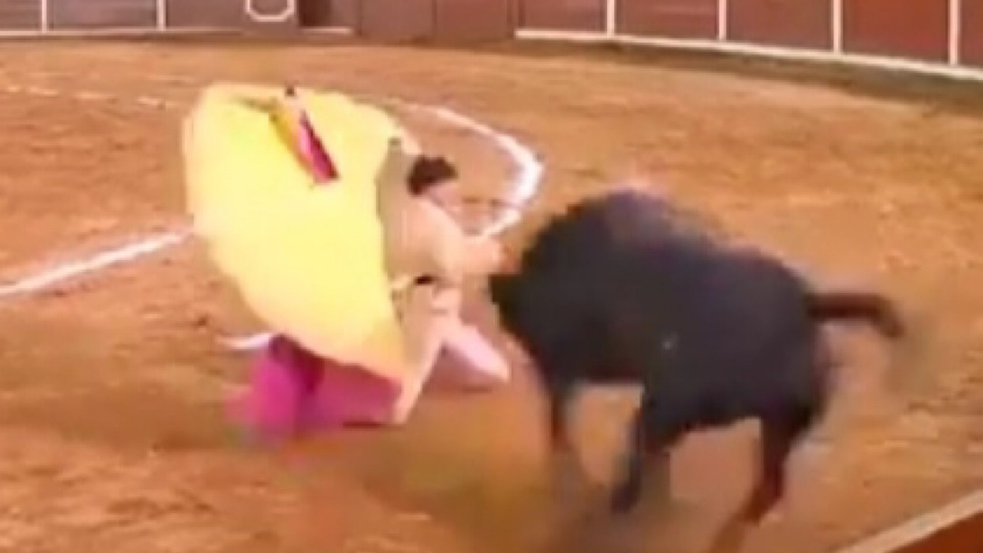 Peligra vida de torero José Alberto Ortega por cornada en el cuello