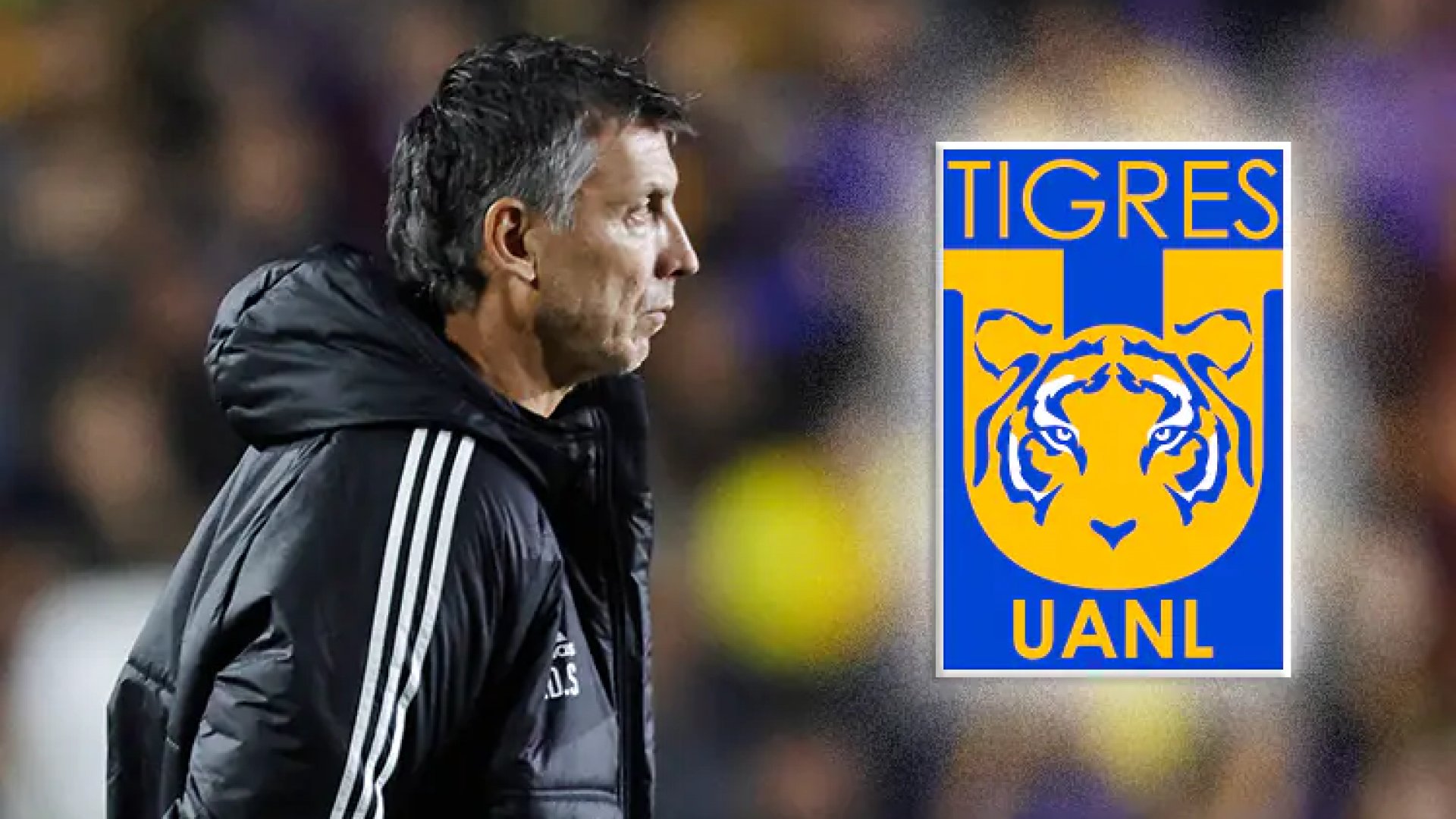 Dante Siboldi cumple 50 partidos con Tigres