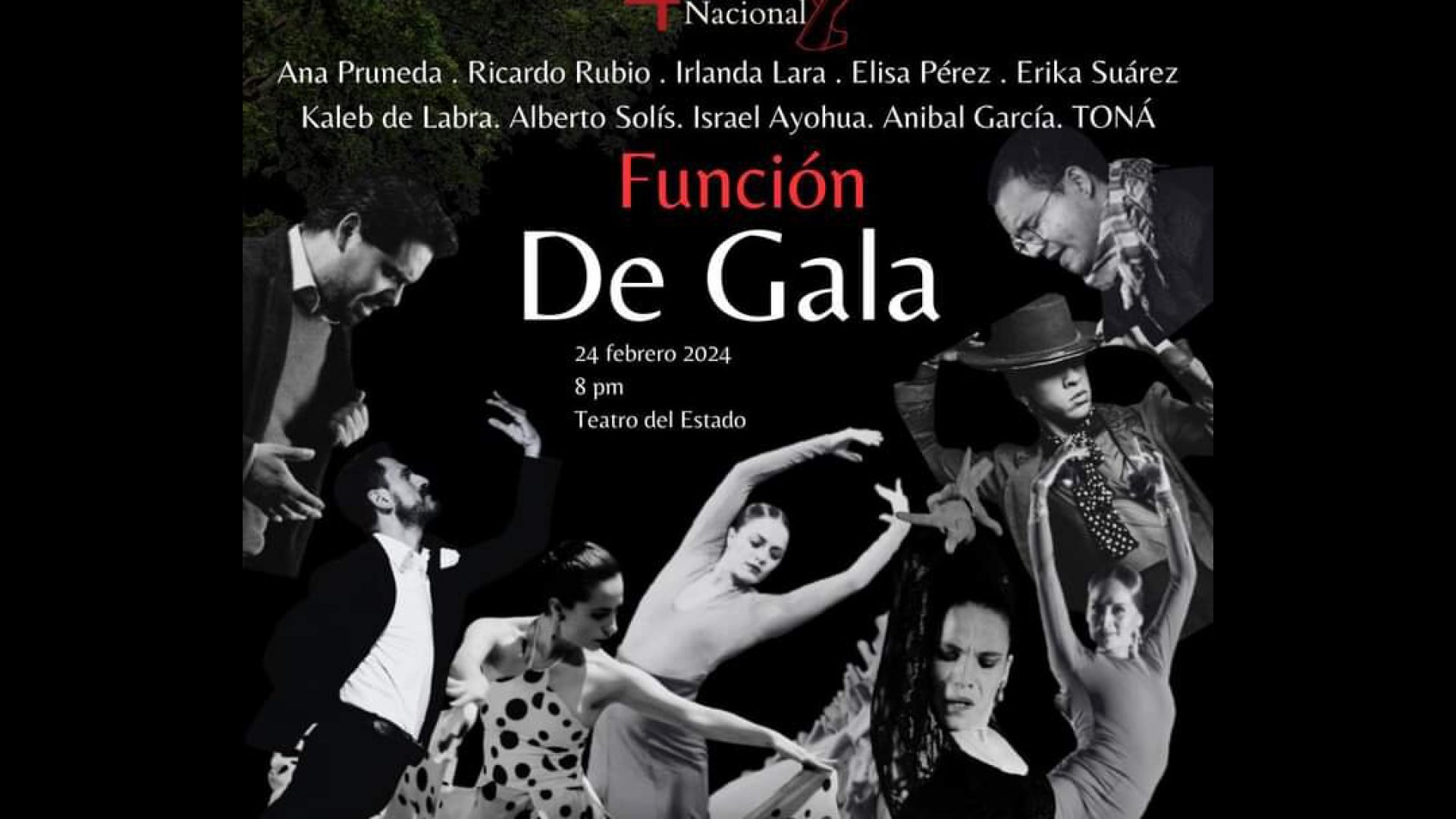 4º Encuentro Nacional de Danza Española, Flamenco y Experimentación