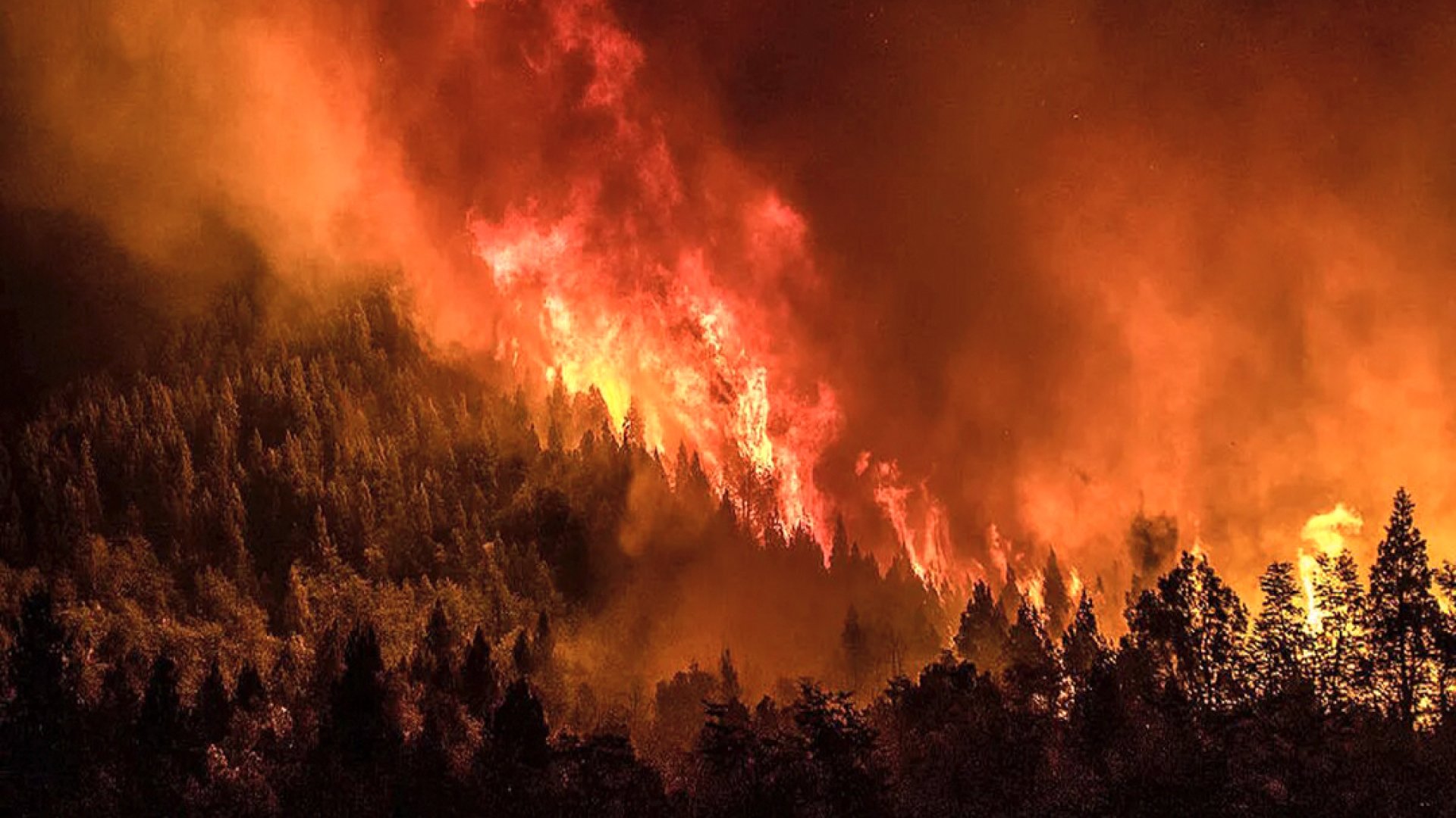 Incendio Nahuel Huapi ya consumió más de 634 hectáreas