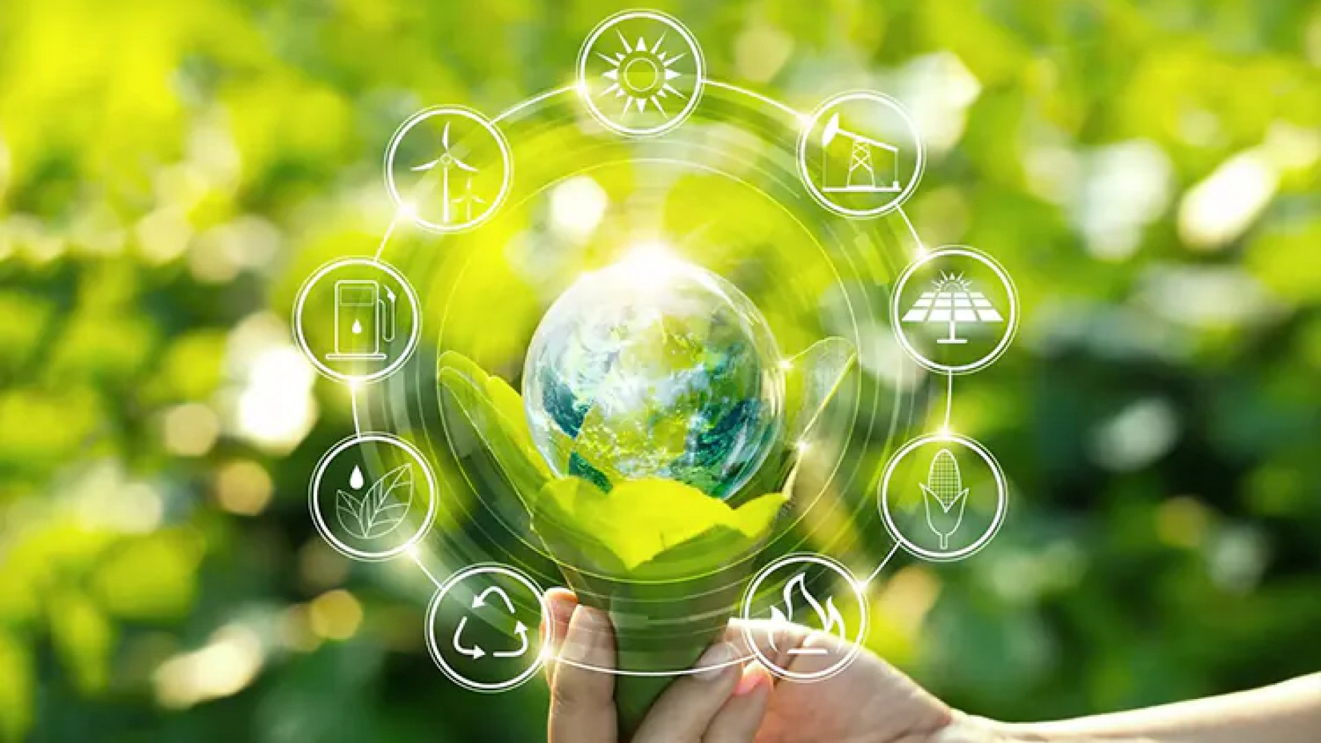 Dos ideas para una transición energética justa en México