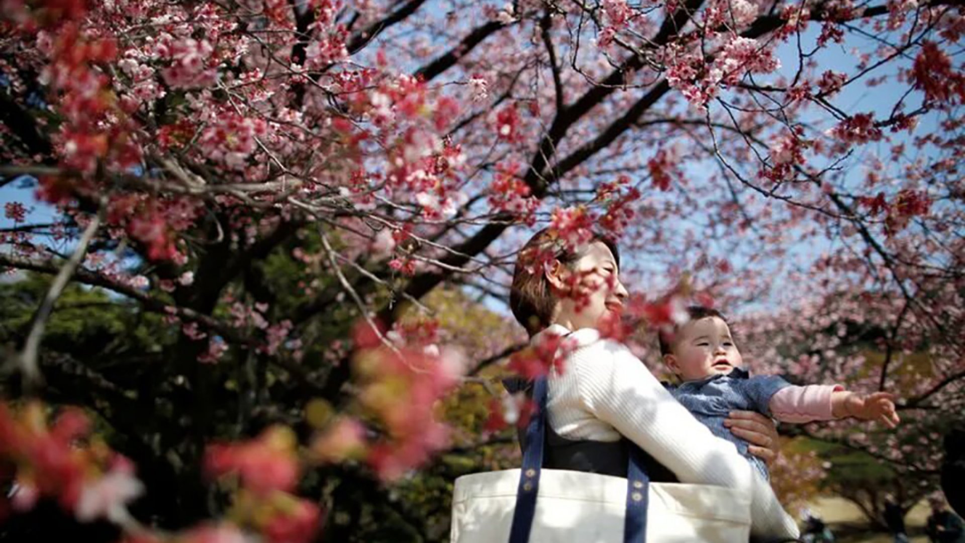 Natalidad en Japón cae a mínimo histórico