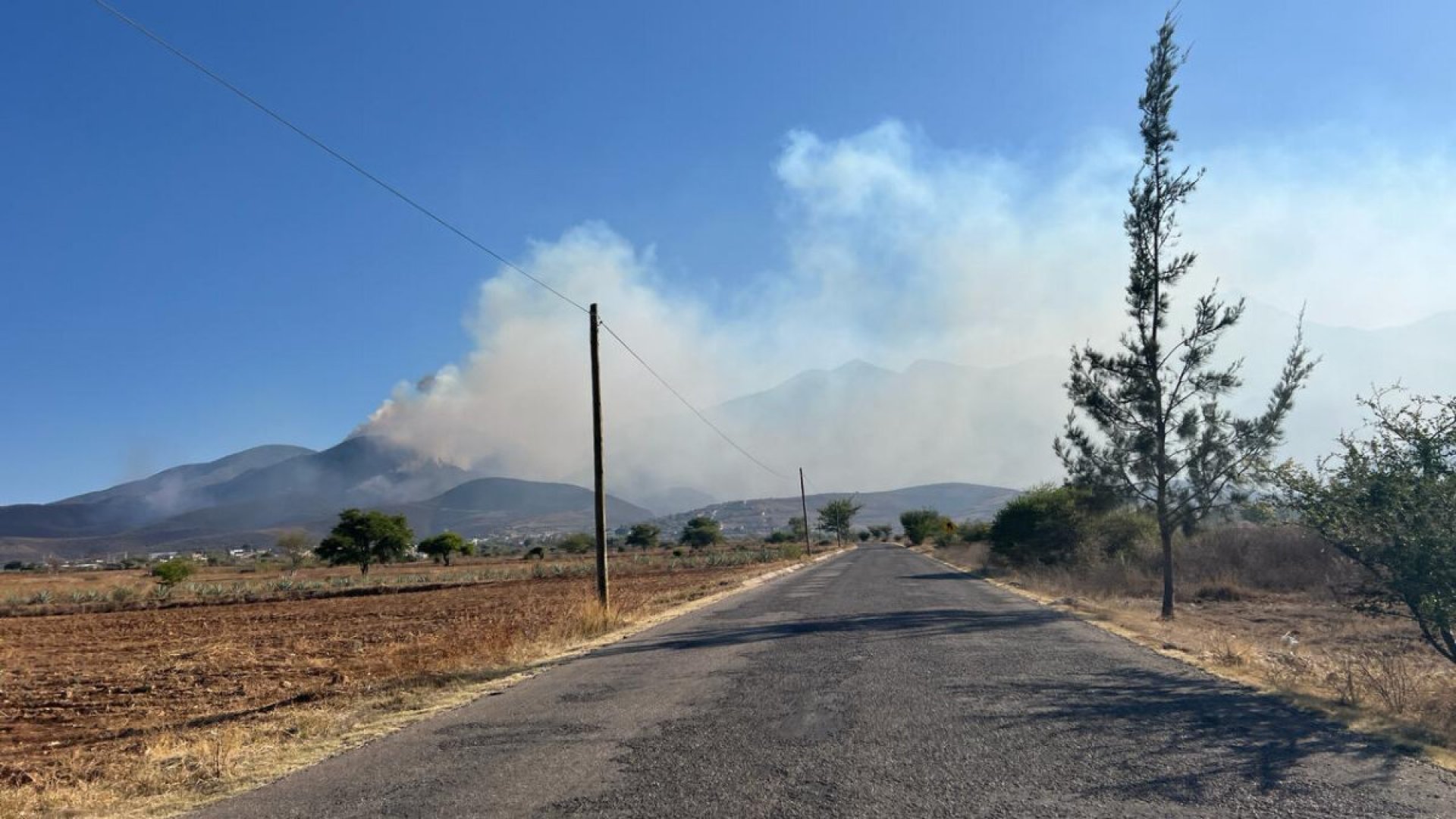 Mueren cinco pobladores al combatir incendio que consume su bosque
