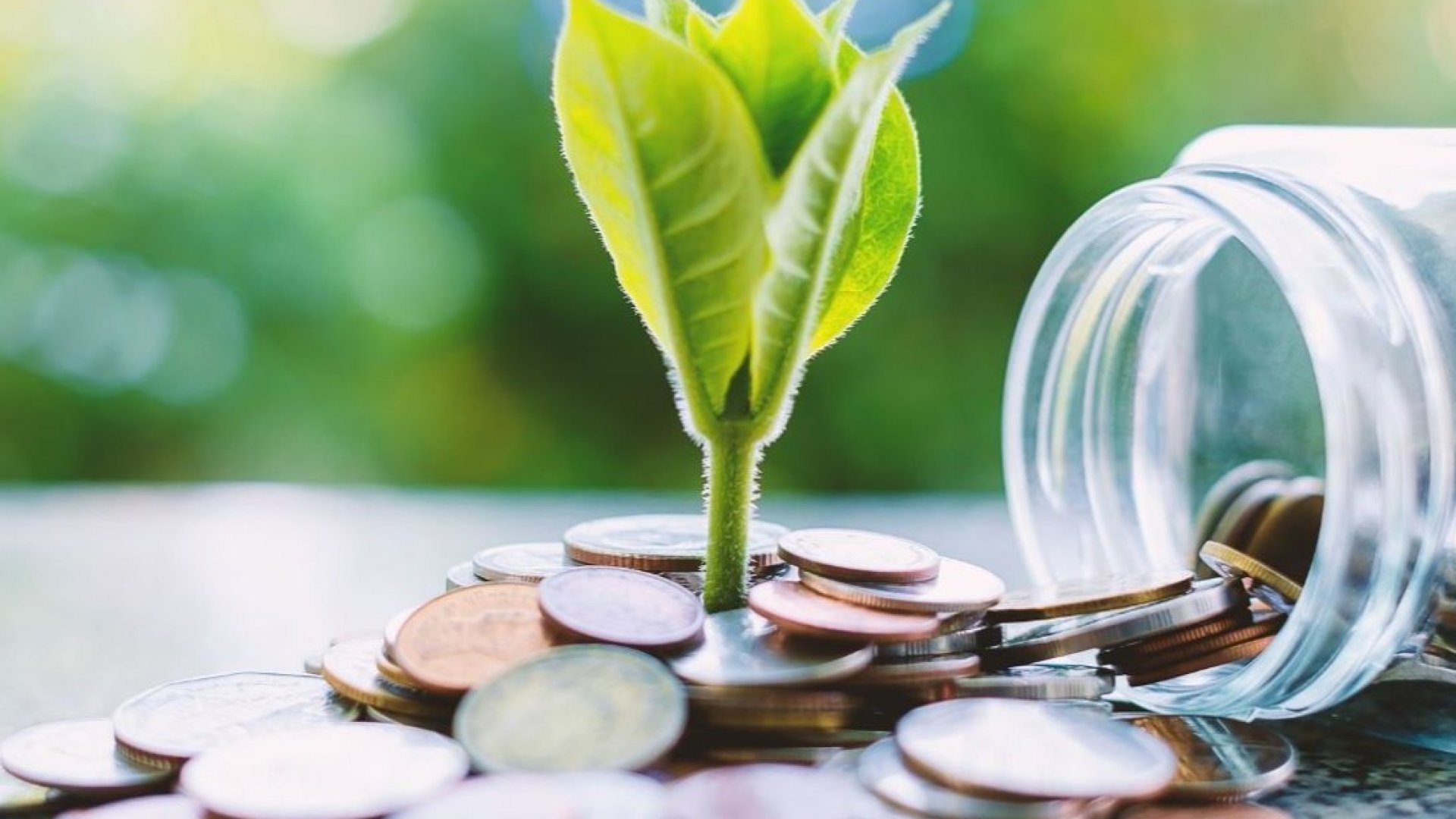 Secretaría de Hacienda lanza programa ‘Eco Crédito Sustentable’