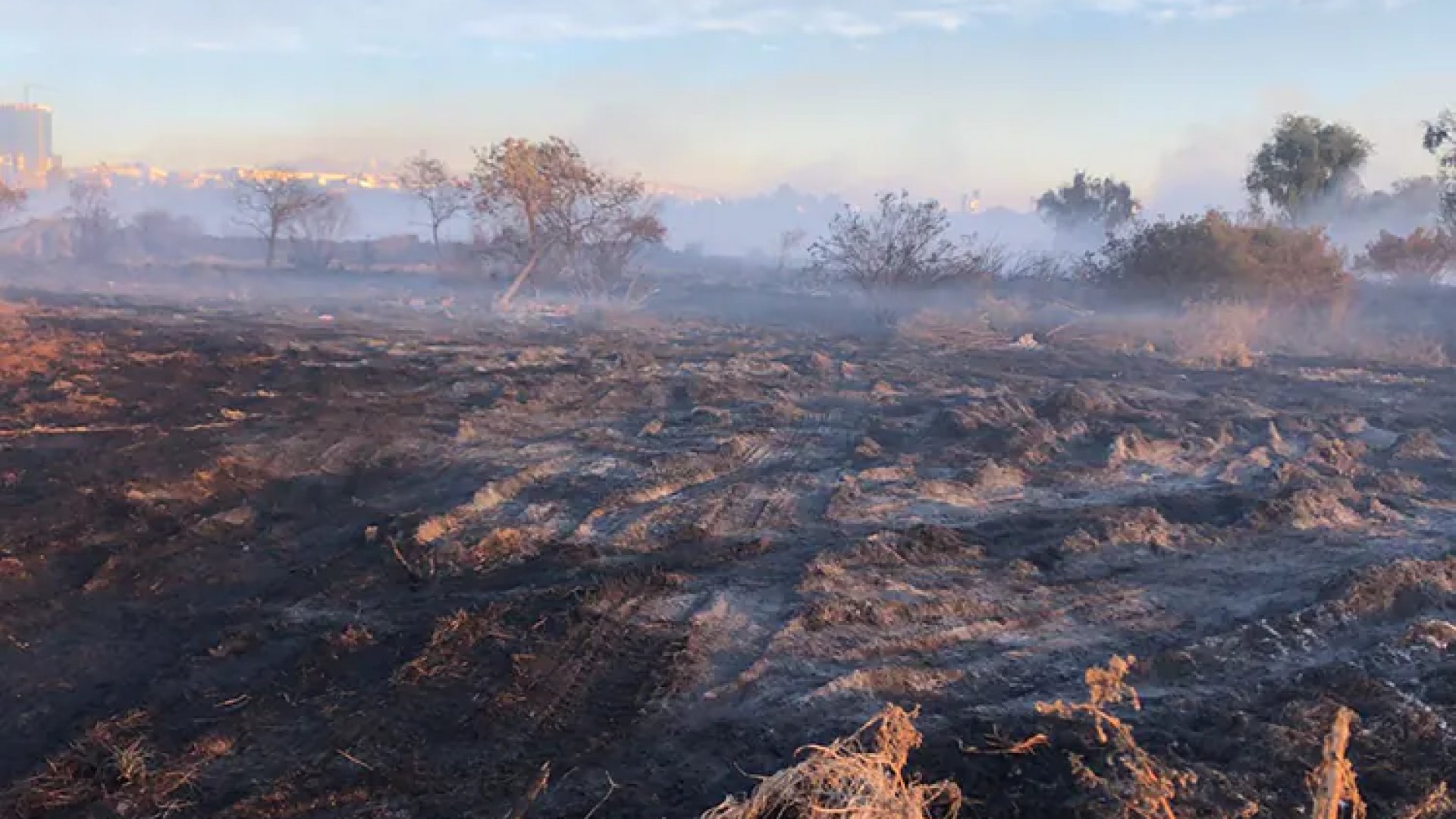 Batallan bomberos para controlar incendio en Naucalpan
